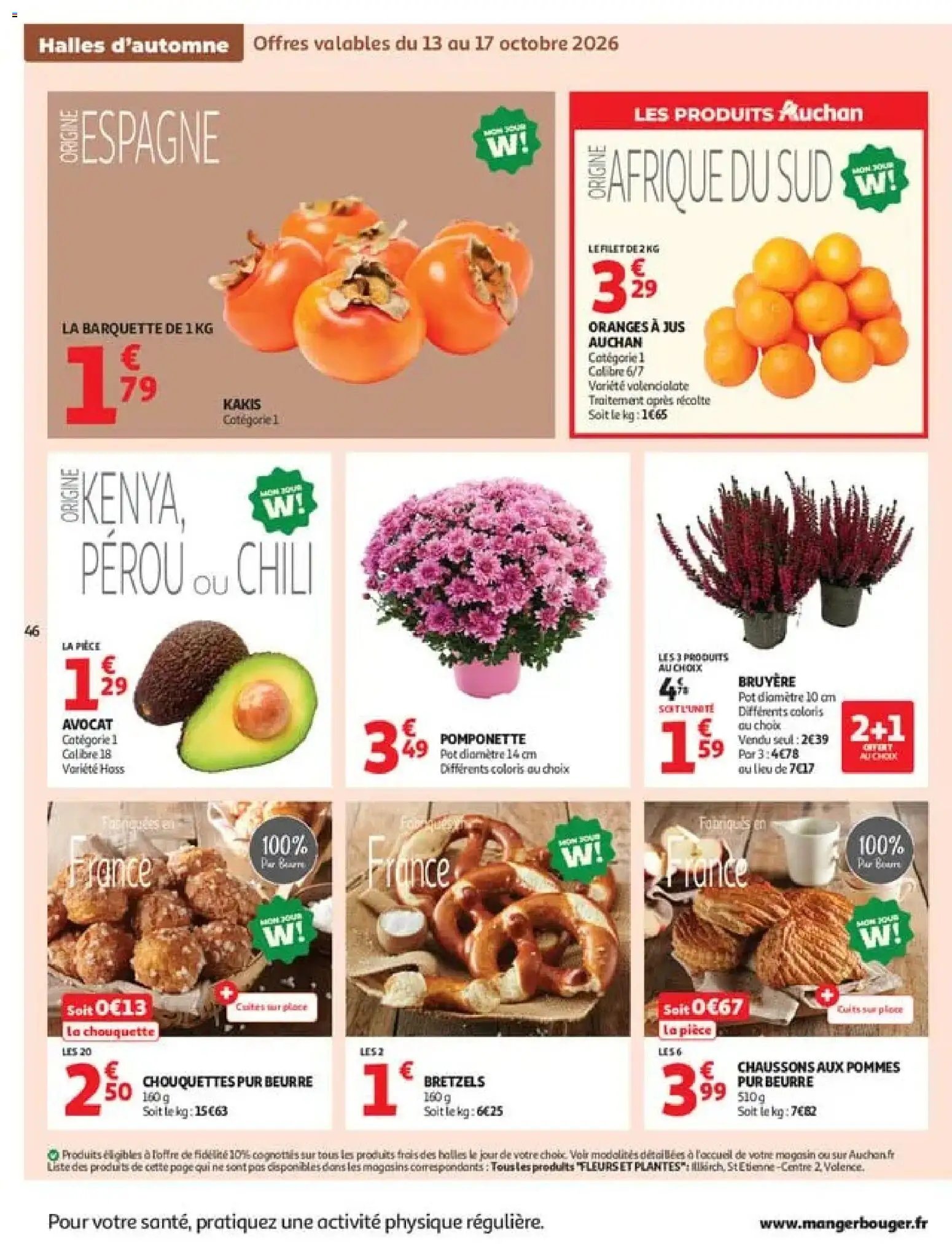 Auchan catalogue