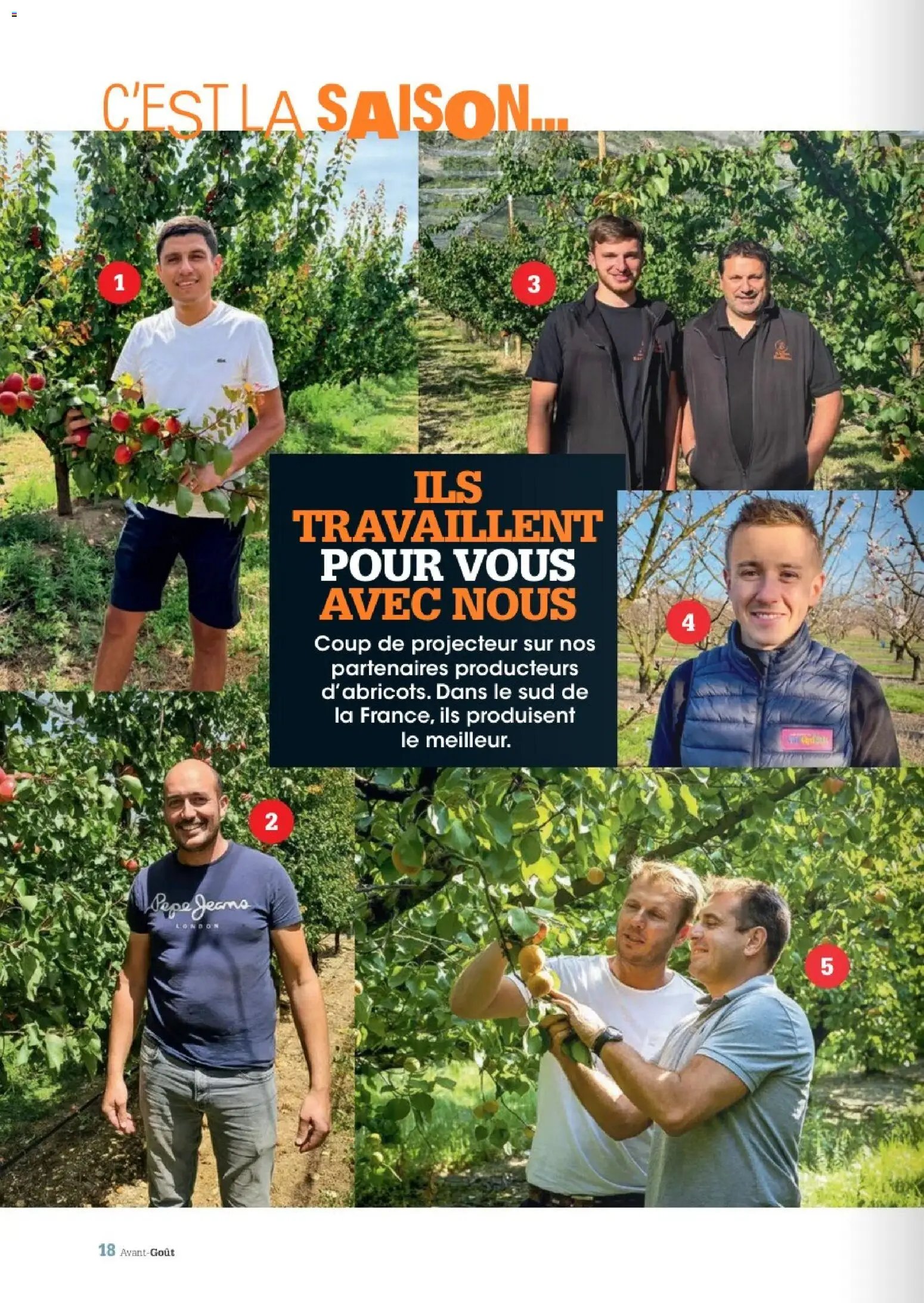Grand Frais - Eté 2026