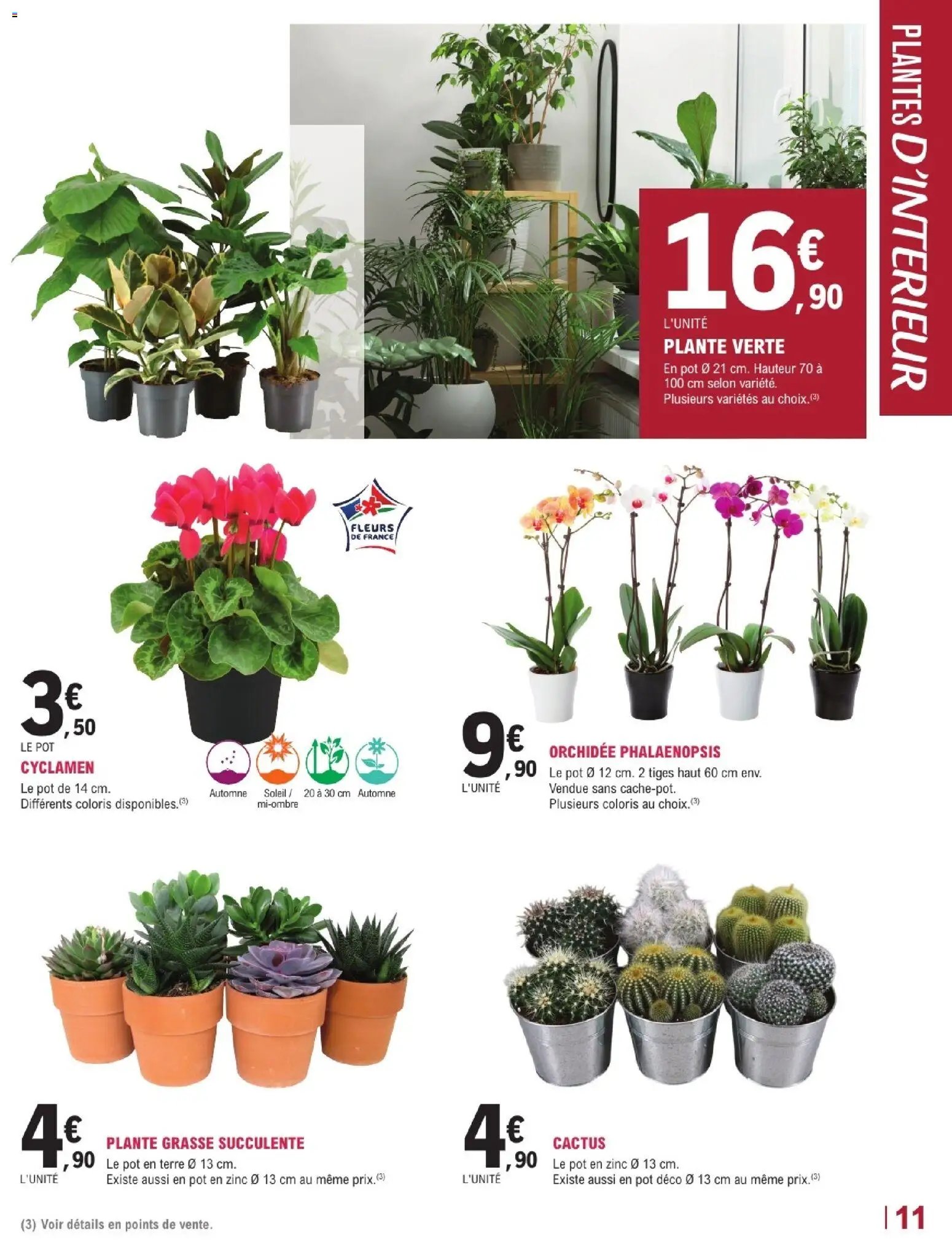 Brico E.Leclerc catalogue Jardi