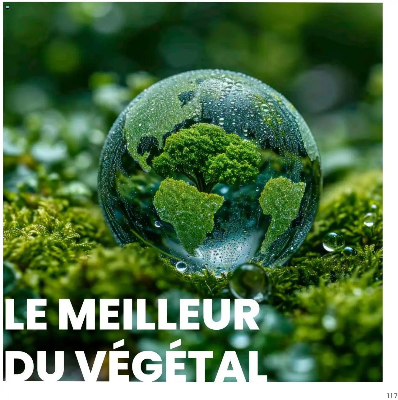 Texam catalogue (2025-02-01 - 2025-12-31)