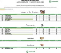Promocash Opportunités Marée
