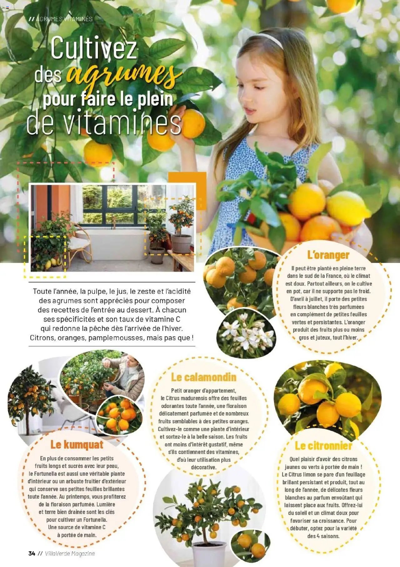 VillaVerde catalogue