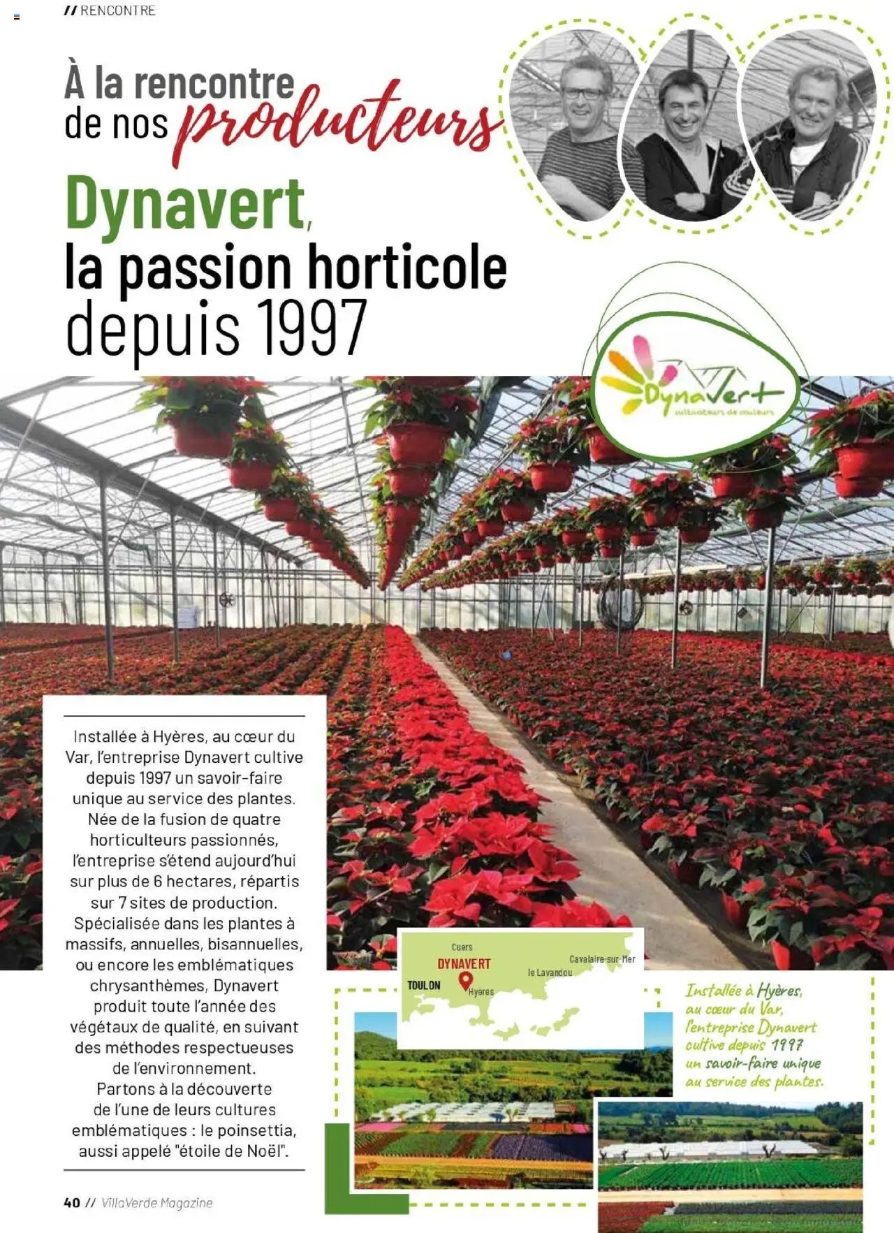 VillaVerde catalogue