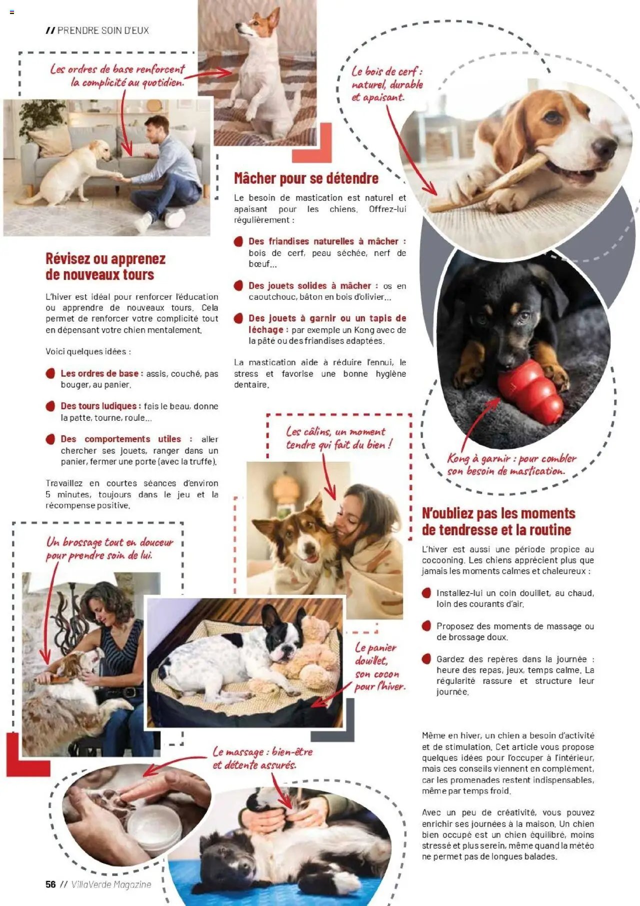 VillaVerde catalogue