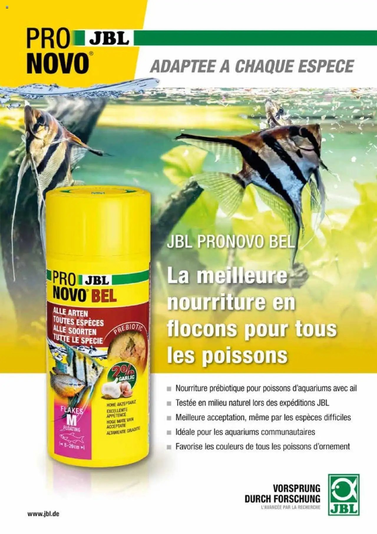 VillaVerde catalogue