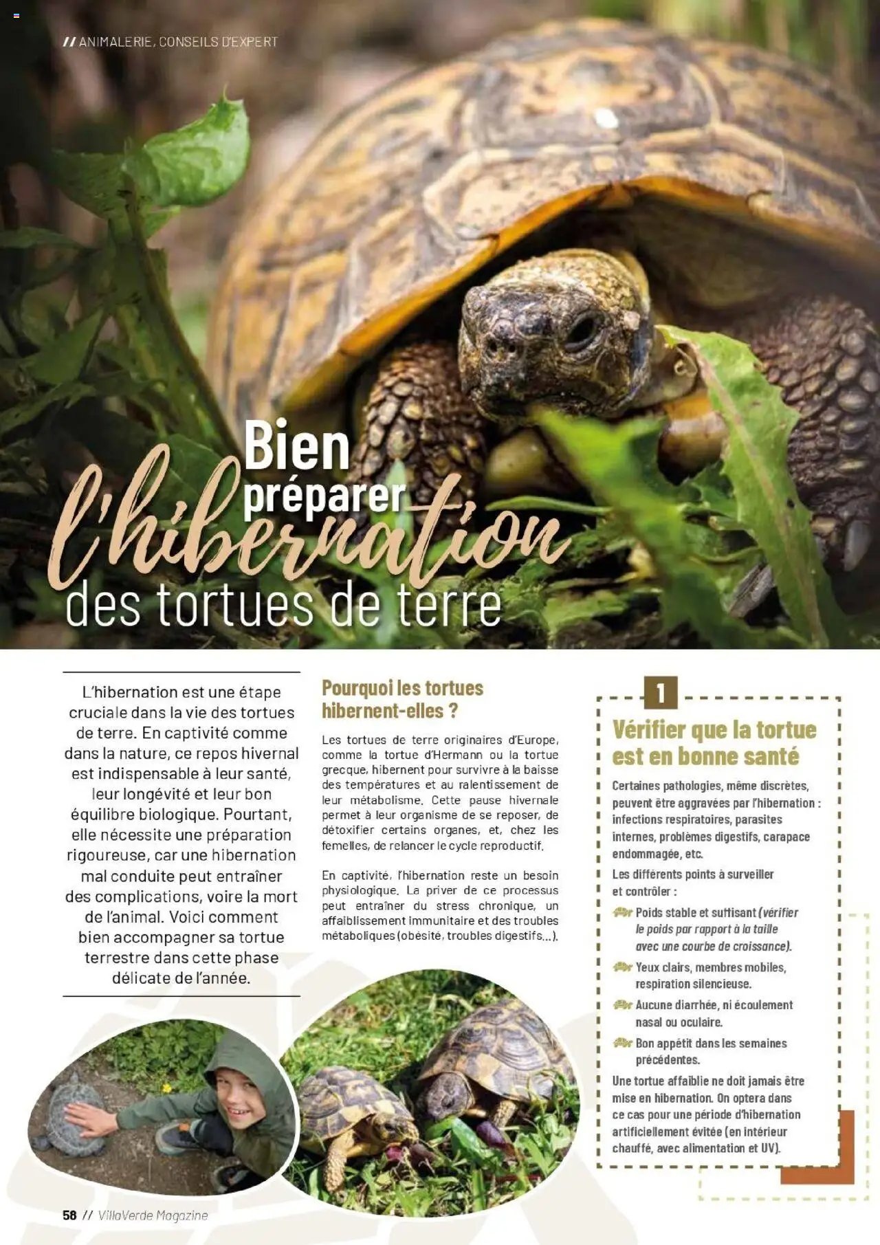 VillaVerde catalogue