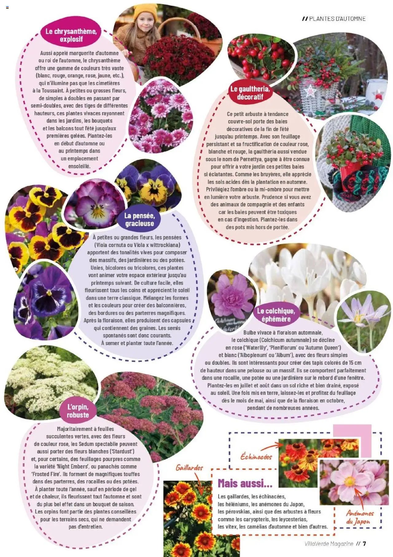 VillaVerde catalogue