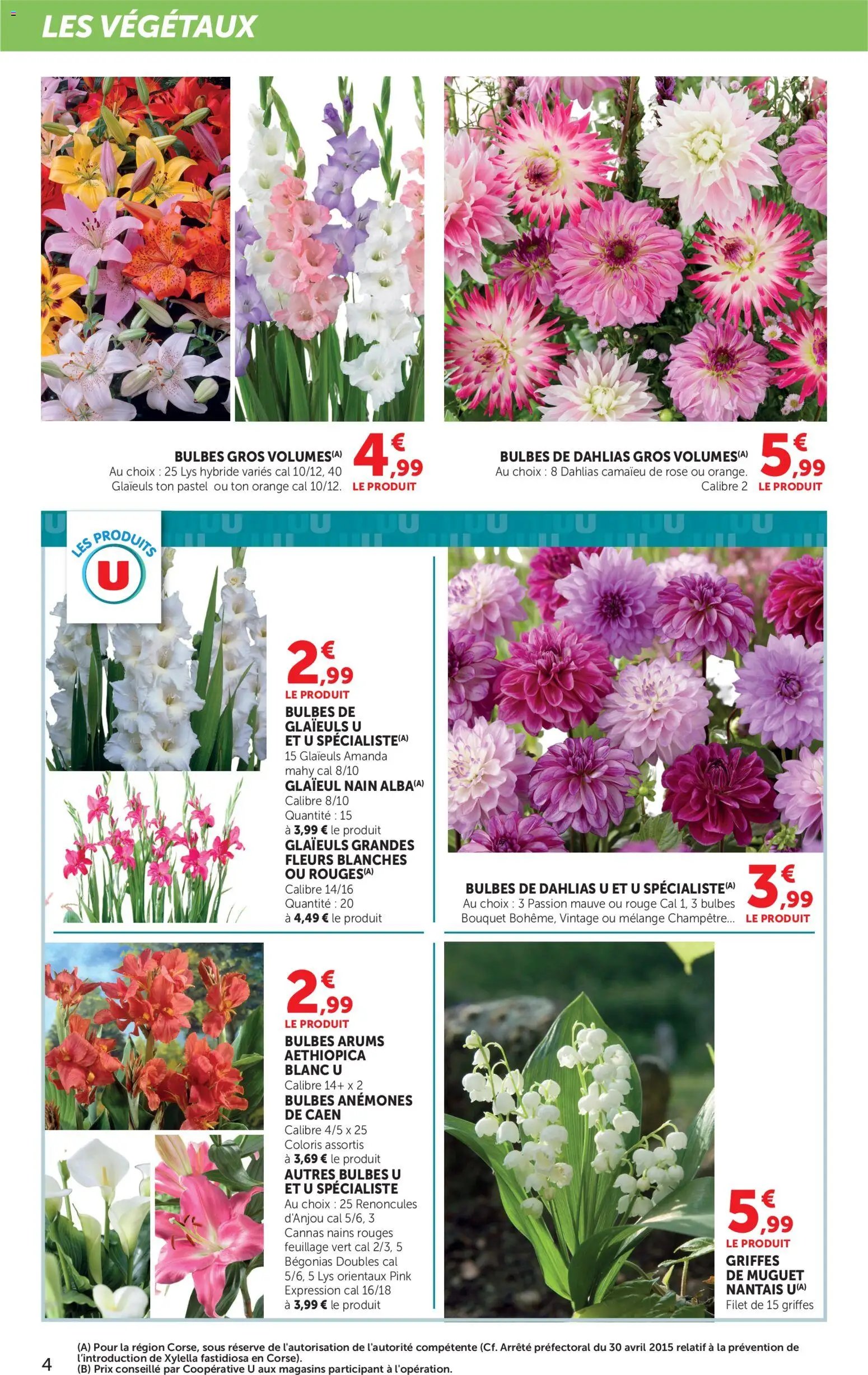 bi1 Le jardin à prix bas