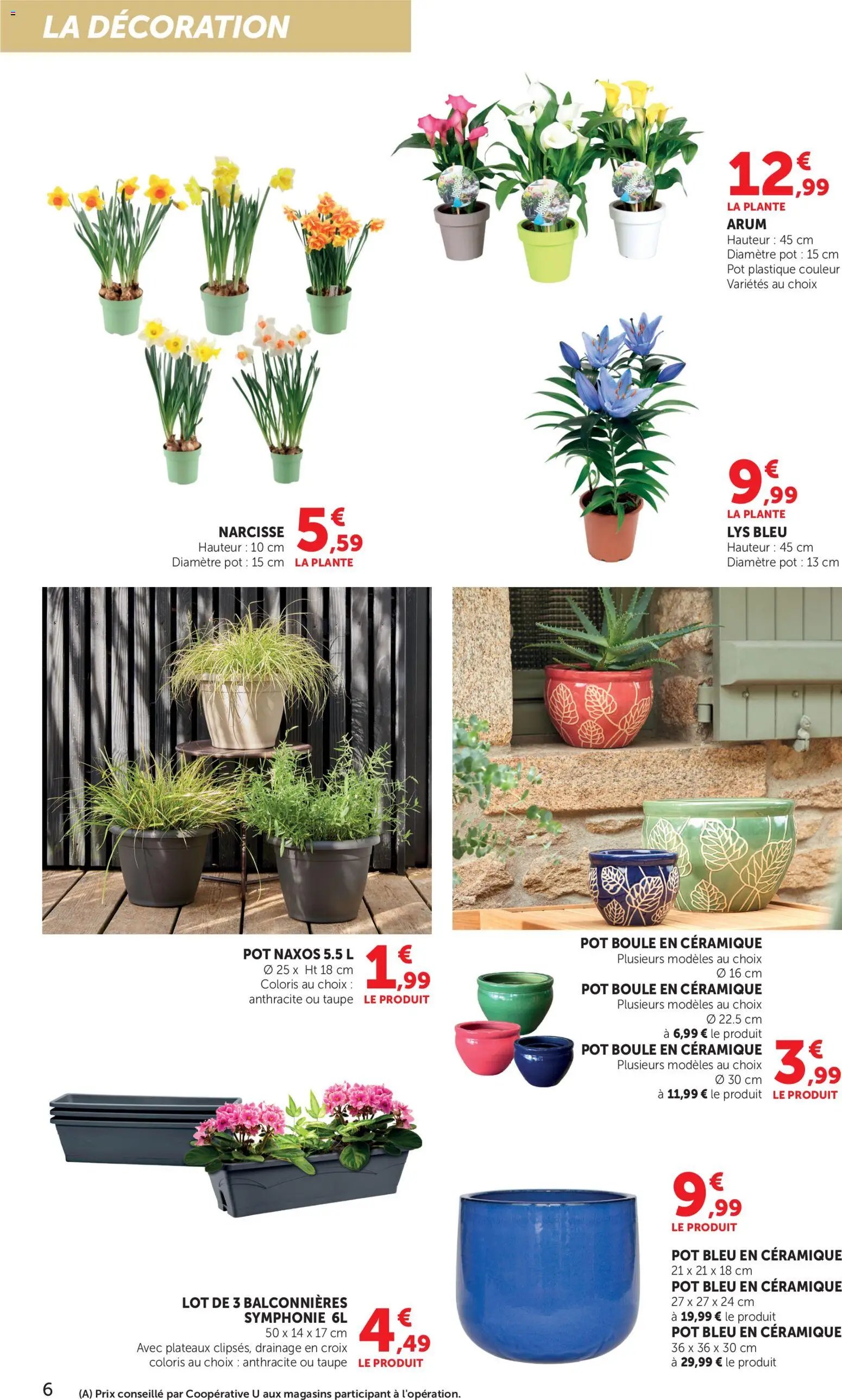 bi1 Le jardin à prix bas