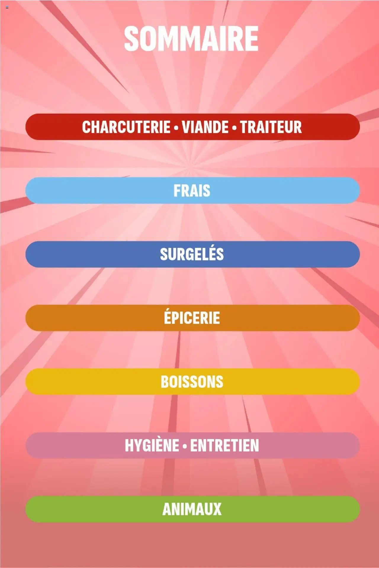 Coccinelle - Express (2025-10-08 - 2025-10-19)