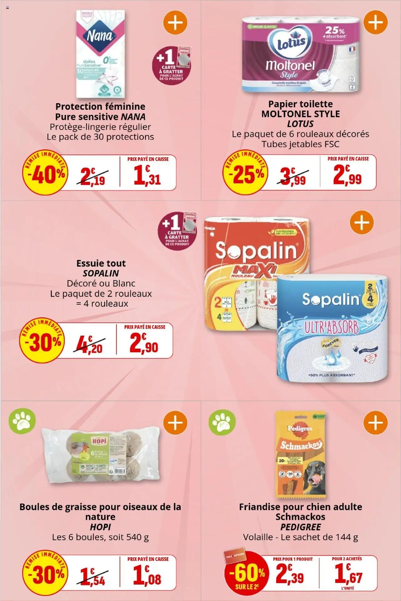 Coccinelle - Express (2025-10-08 - 2025-10-19)