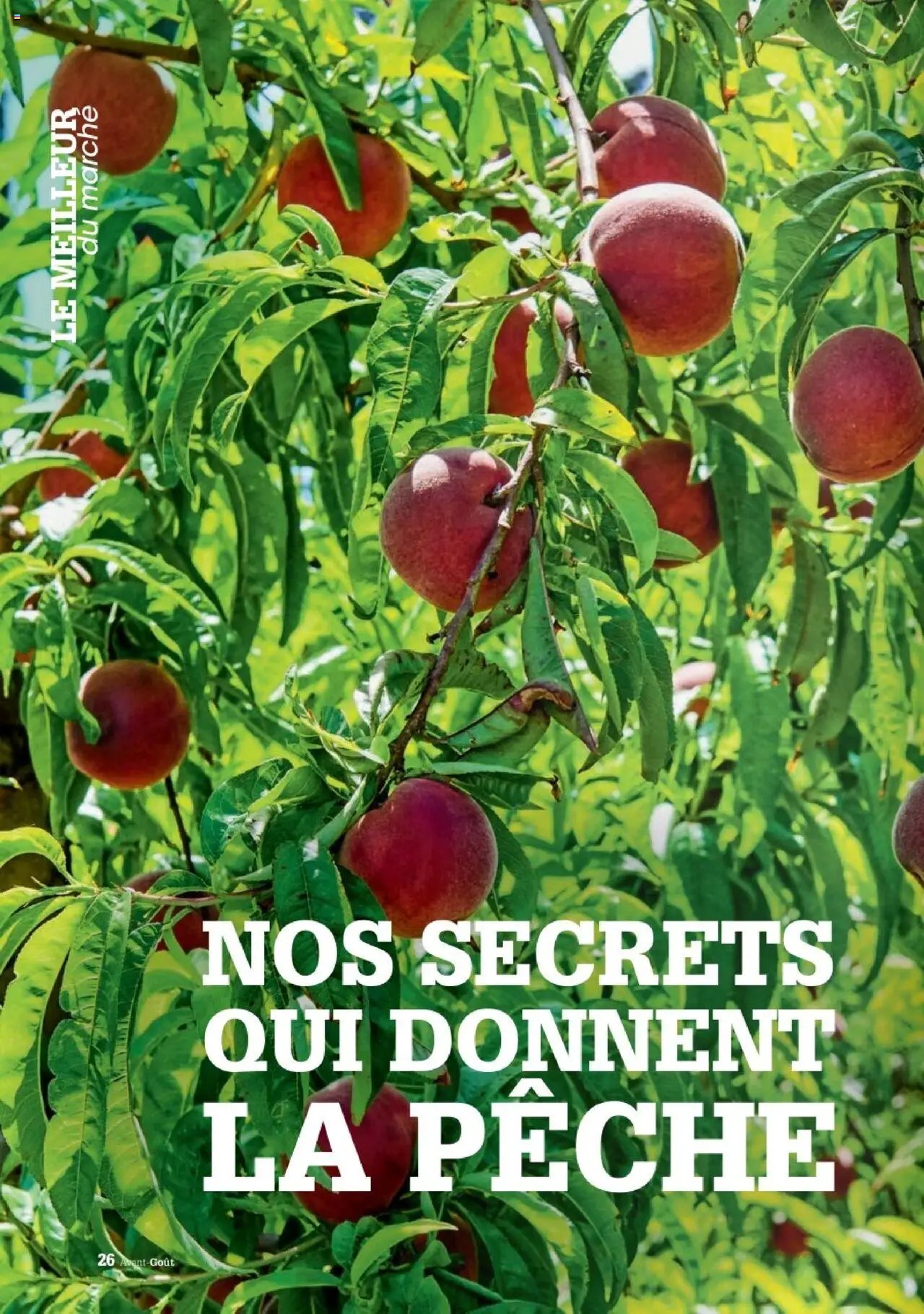 Grand Frais catalogue (2025-07-07 - 2025-09-01)