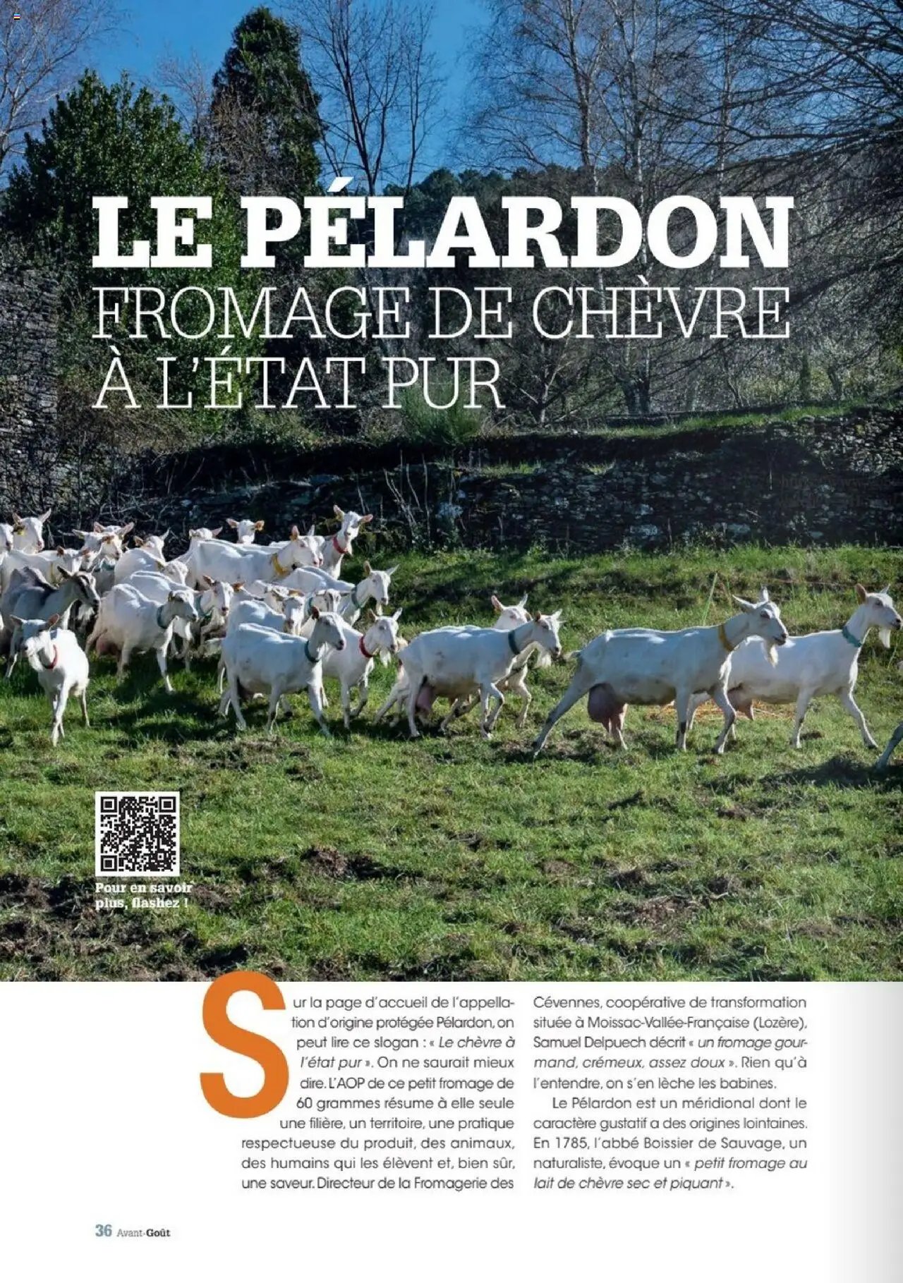 Grand Frais catalogue (2025-07-07 - 2025-09-01)