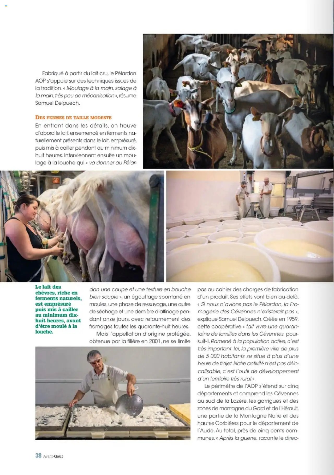 Grand Frais catalogue (2025-07-07 - 2025-09-01)
