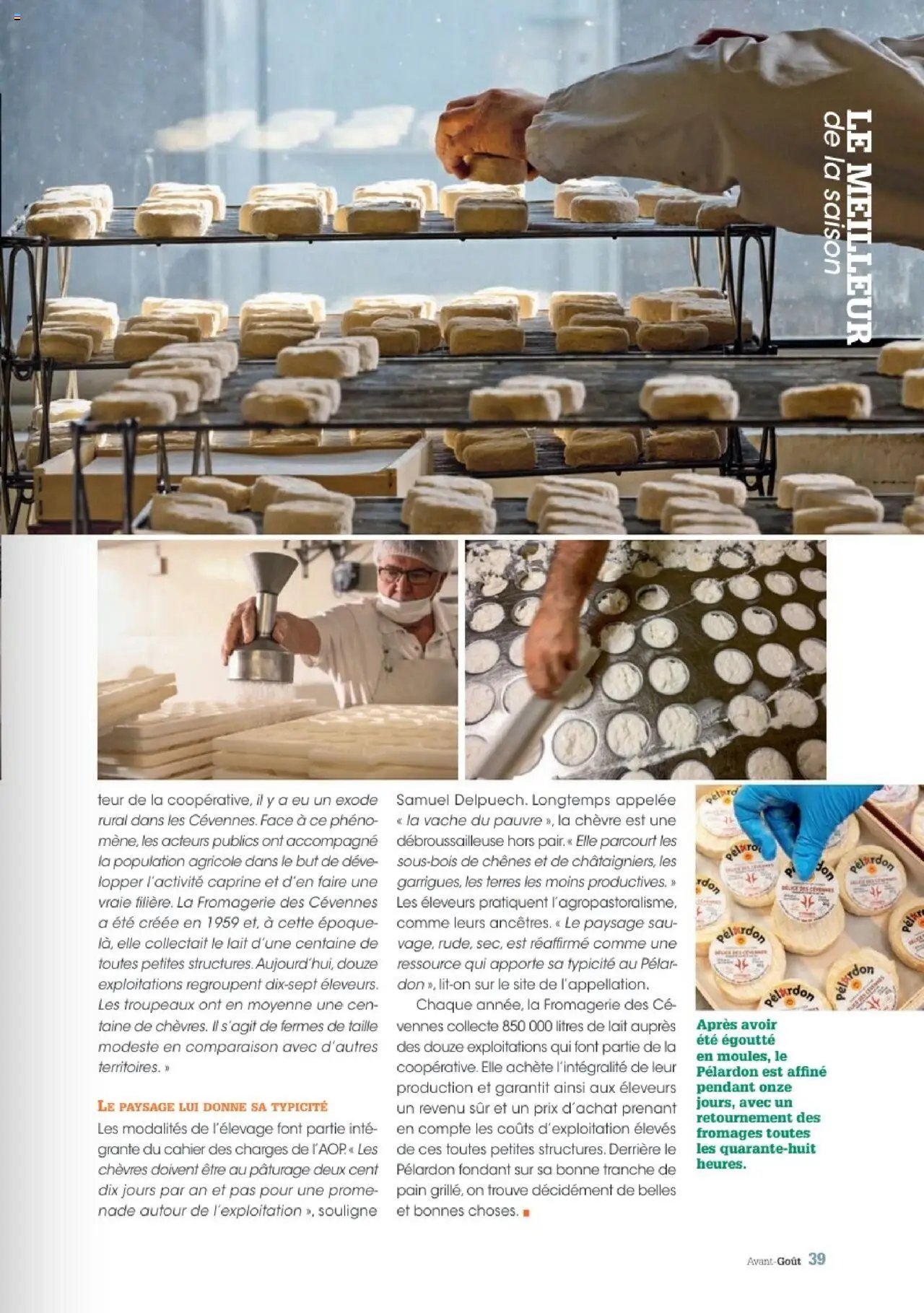 Grand Frais catalogue (2025-07-07 - 2025-09-01)