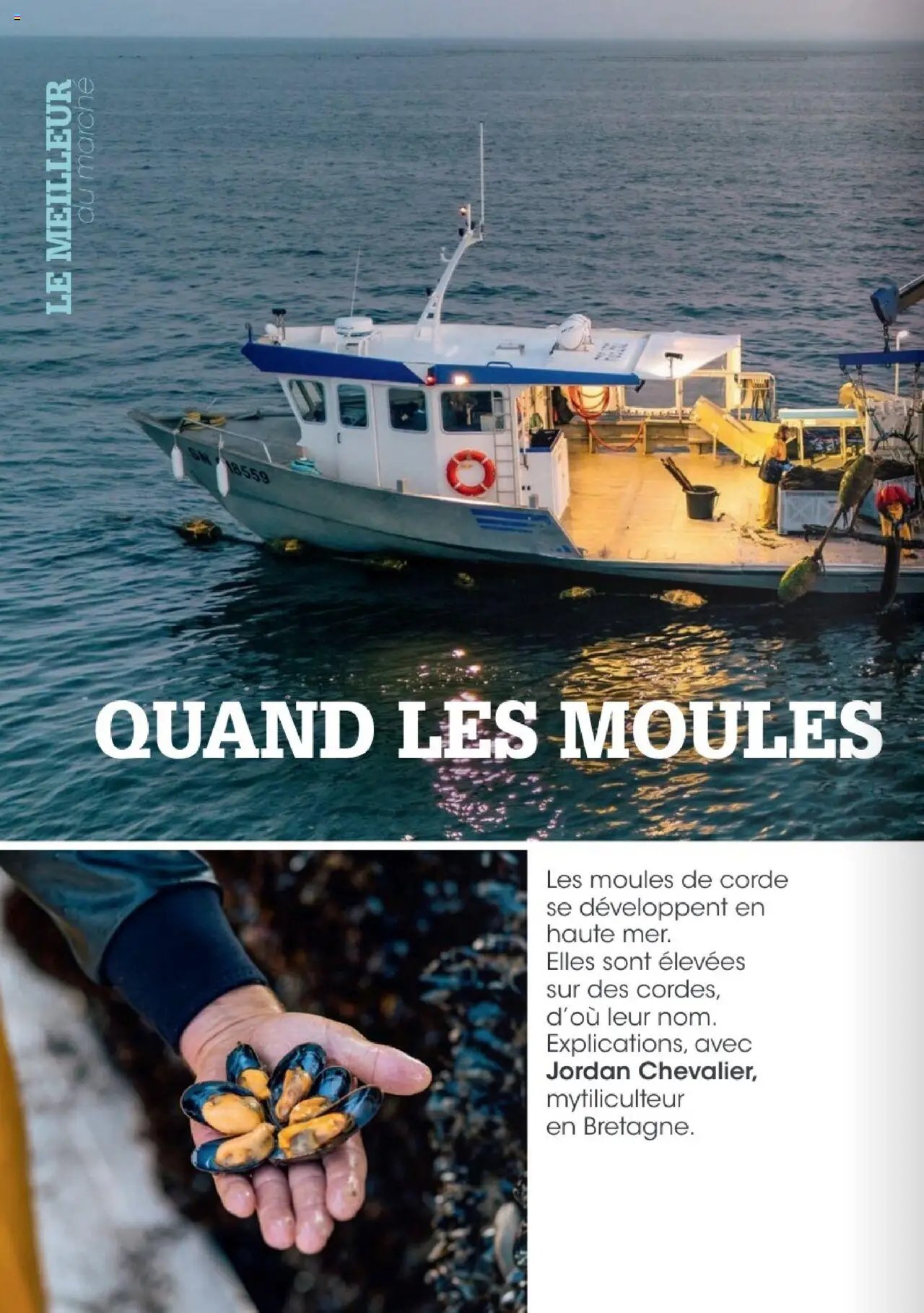 Grand Frais catalogue (2025-07-07 - 2025-09-01)