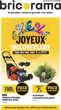Bricorama catalogue