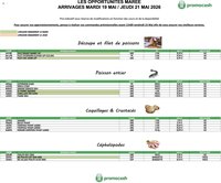 Promocash Opportunités Marée