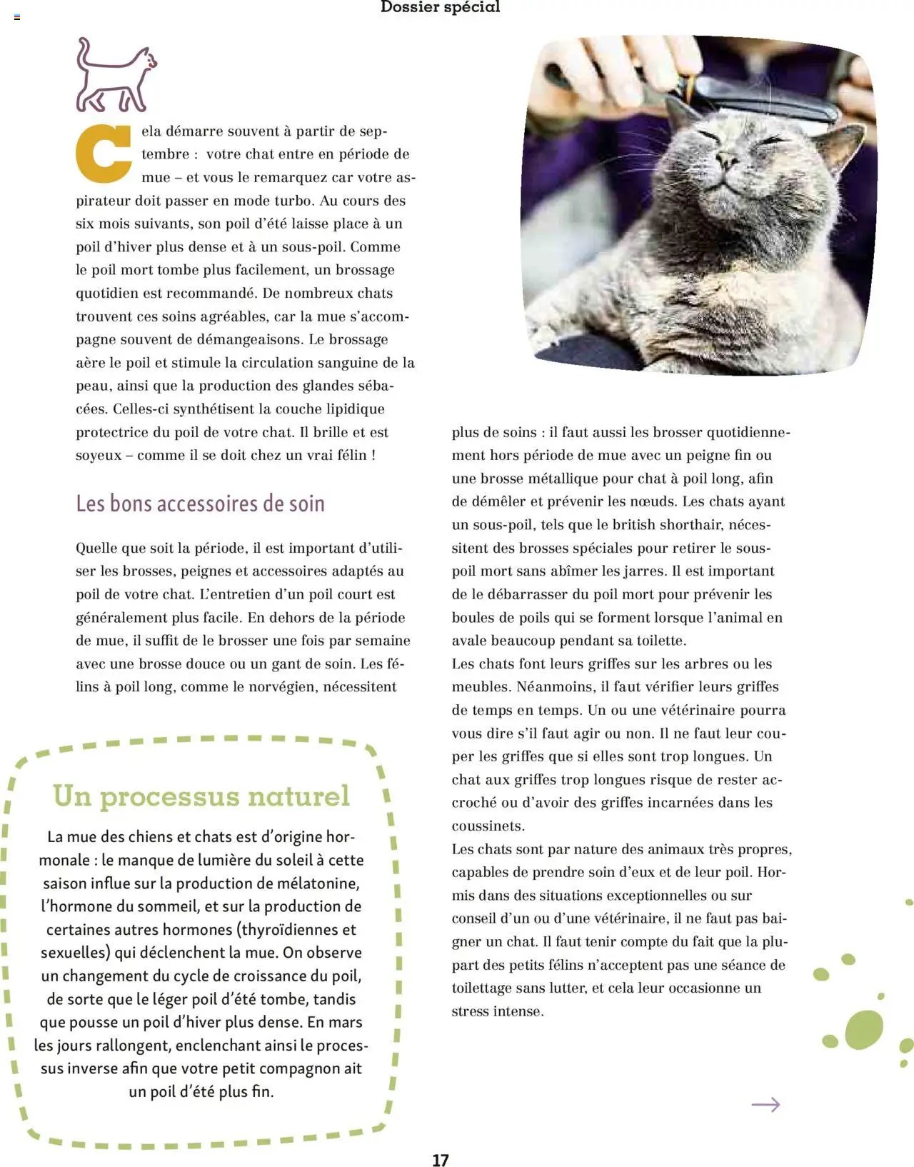 Maxi ZOO - Maxizoo Friends (2025-10-01 - 2025-11-20)
