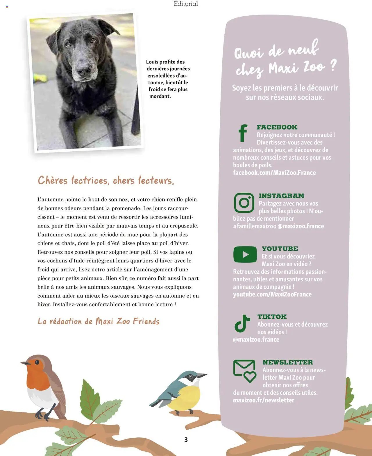 Maxi ZOO - Maxizoo Friends (2025-10-01 - 2025-11-20)