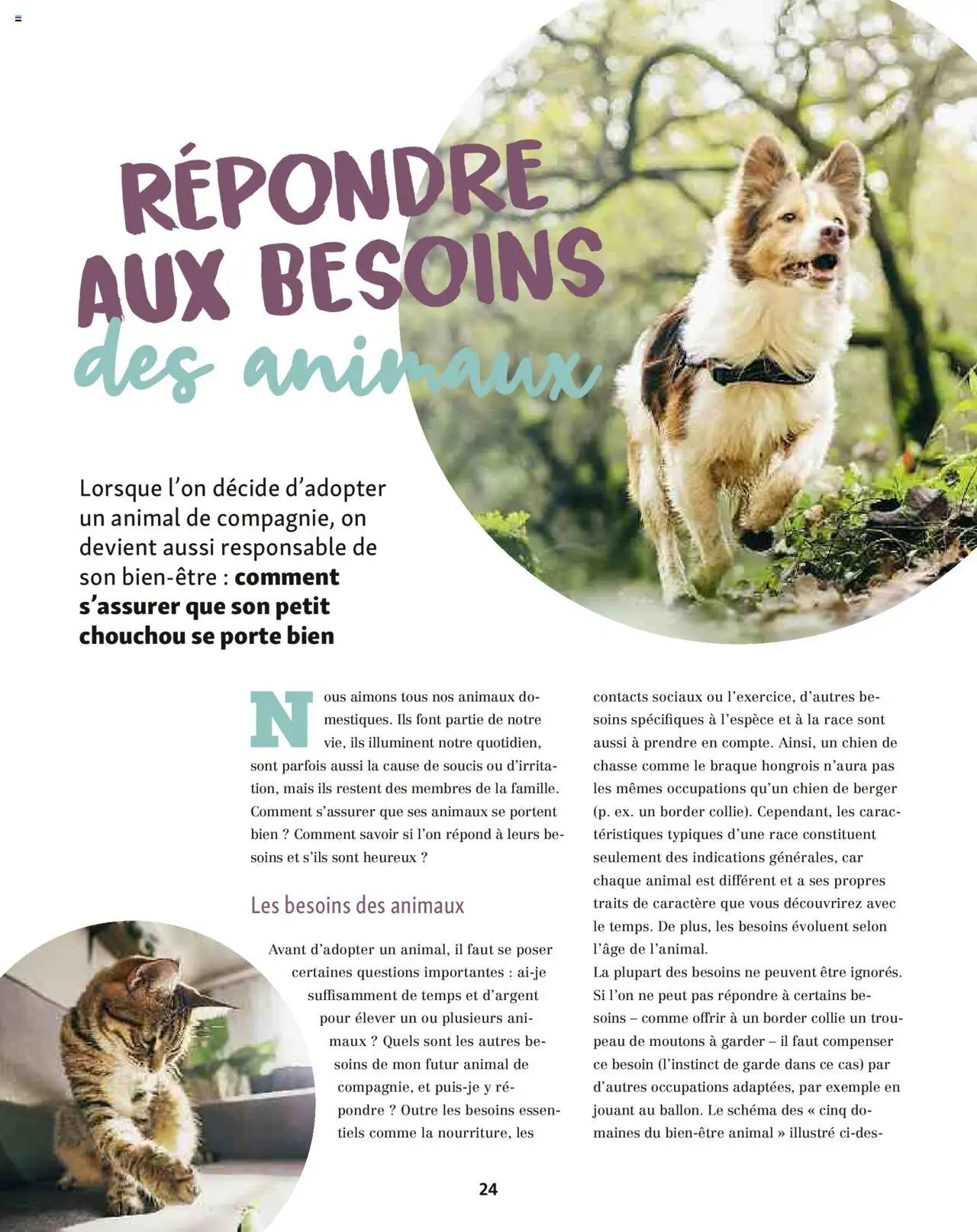 Maxi ZOO - Maxizoo Friends (2025-10-01 - 2025-11-20)