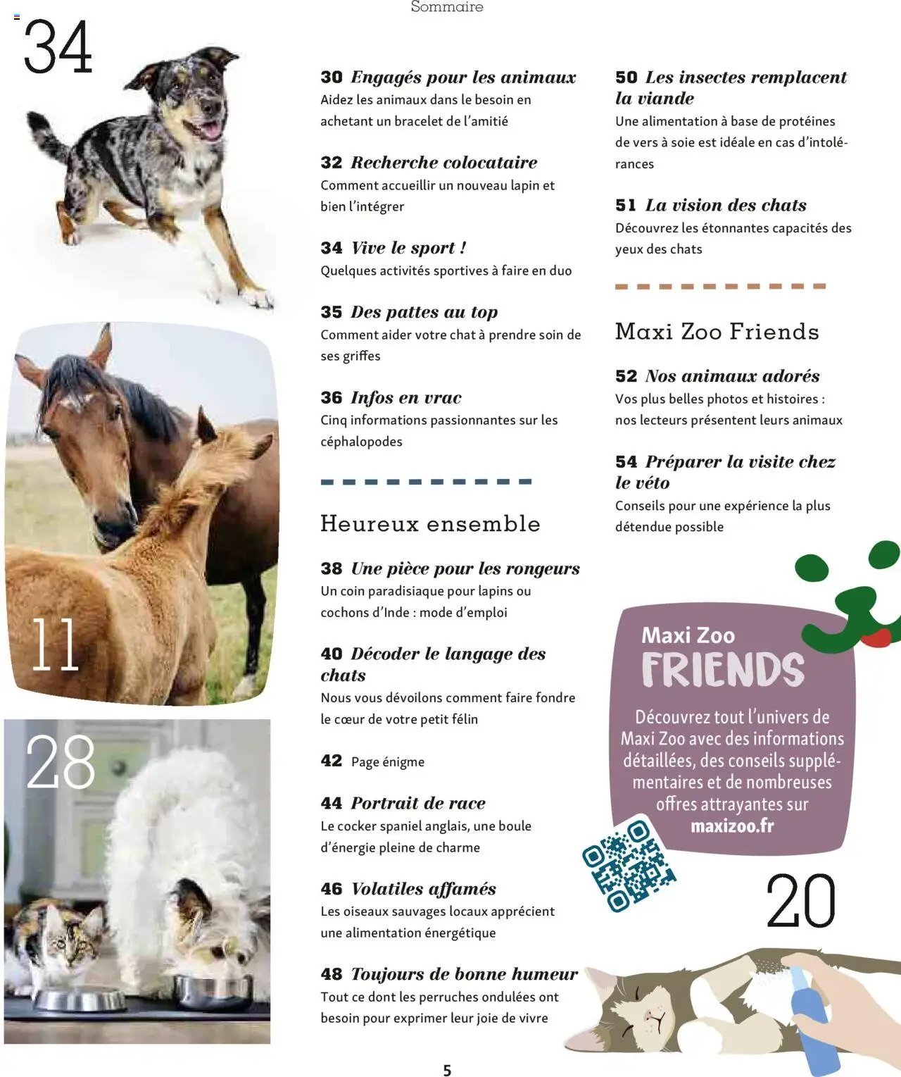 Maxi ZOO - Maxizoo Friends (2025-10-01 - 2025-11-20)