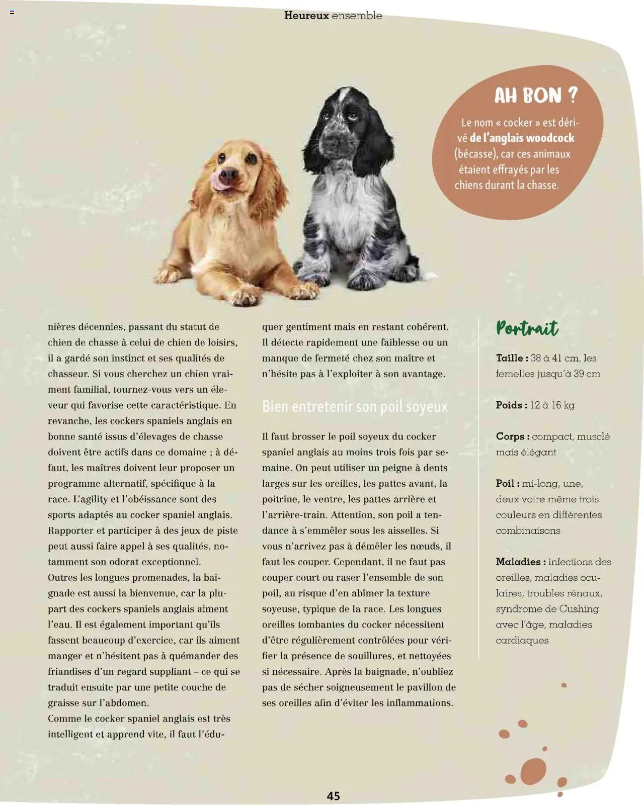Maxi ZOO - Maxizoo Friends (2025-10-01 - 2025-11-20)
