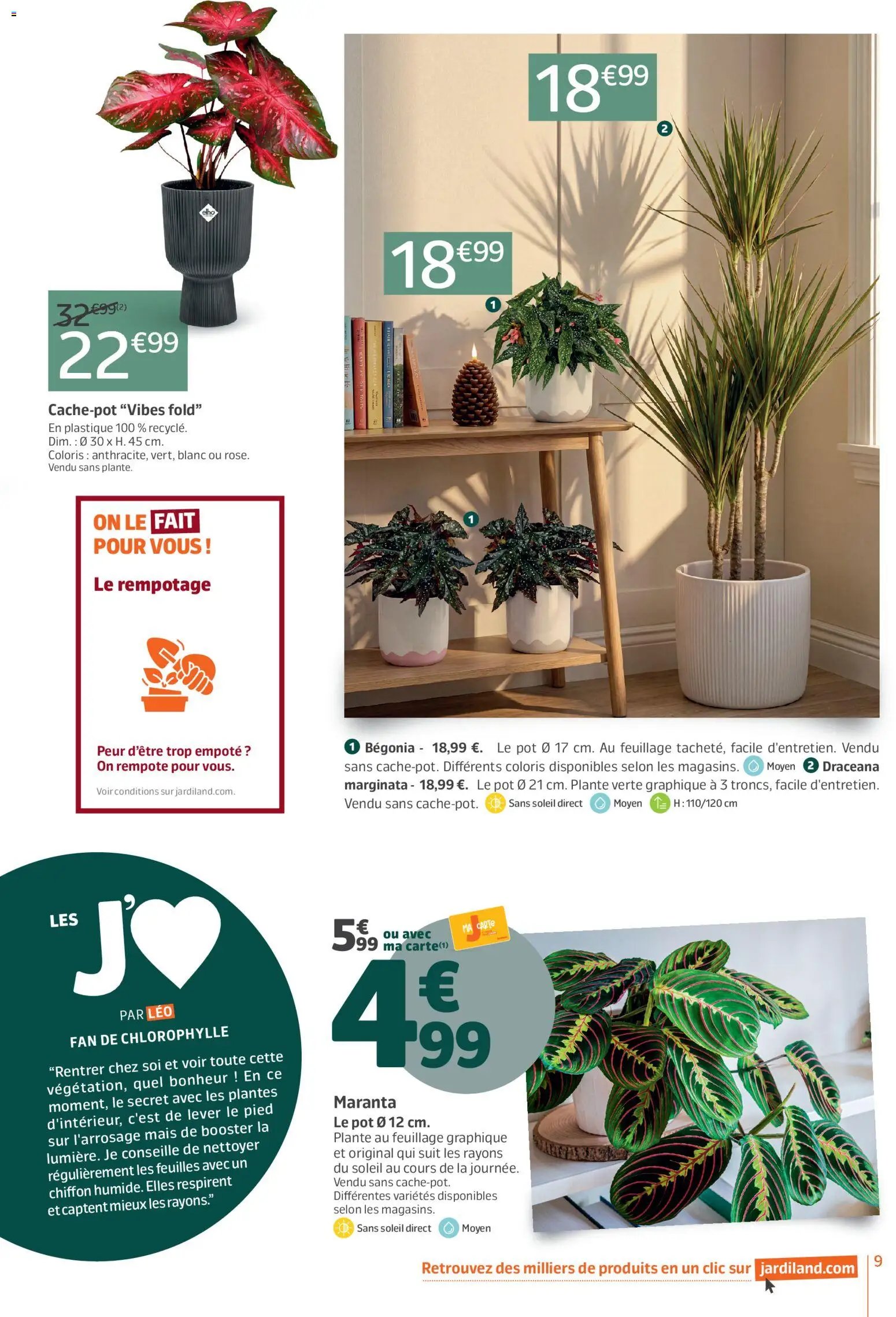 Jardiland catalogue