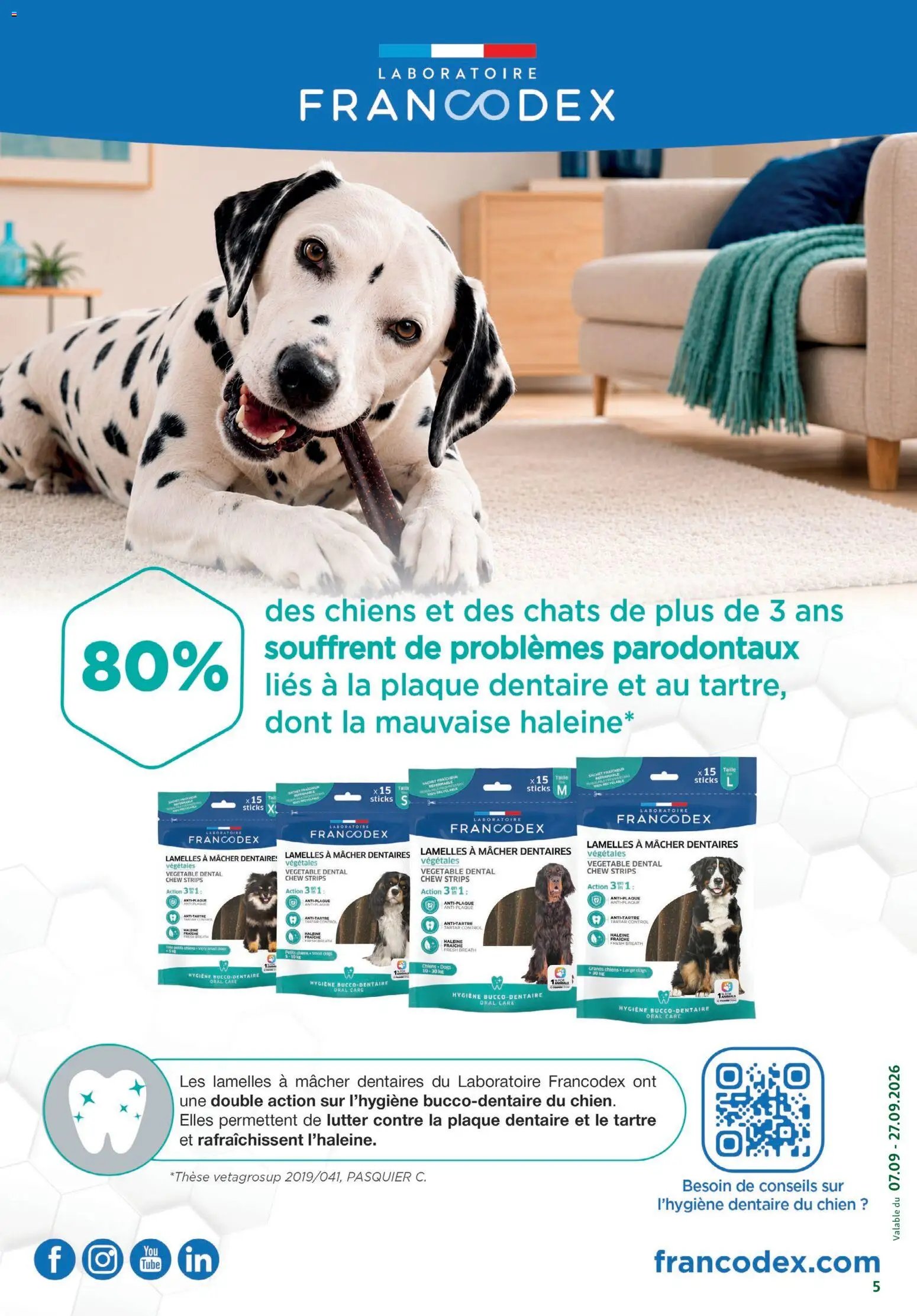 Maxi ZOO catalogue