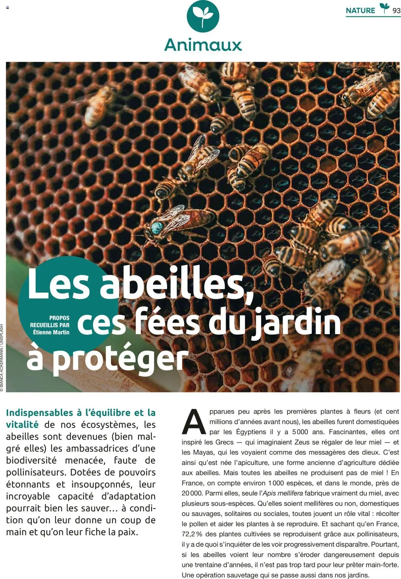 Mr. Bricolage catalogue (2025-09-22 - 2025-11-15)