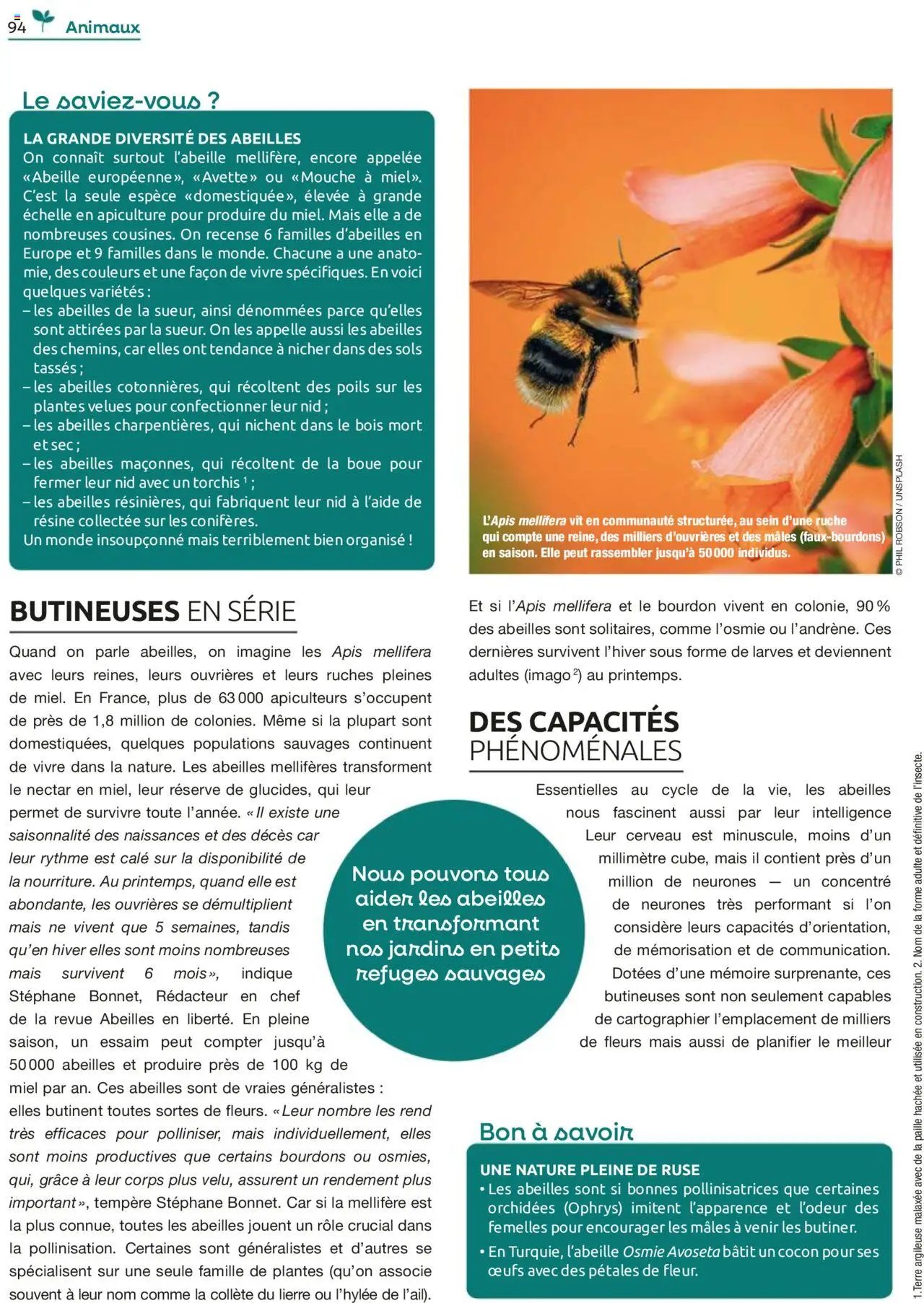 Mr. Bricolage catalogue (2025-09-22 - 2025-11-15)
