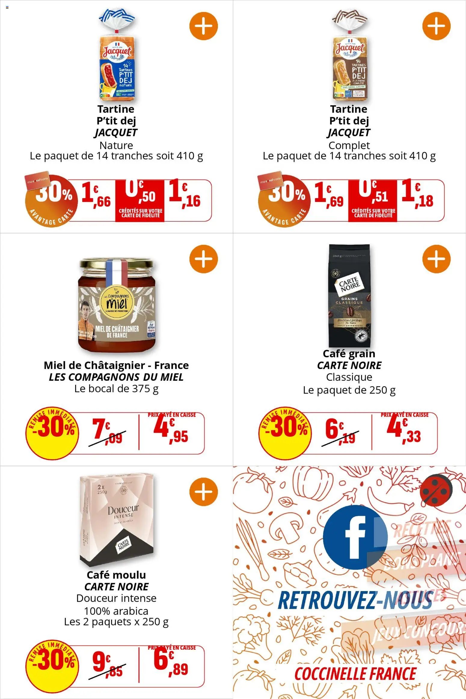 Coccinelle catalogue