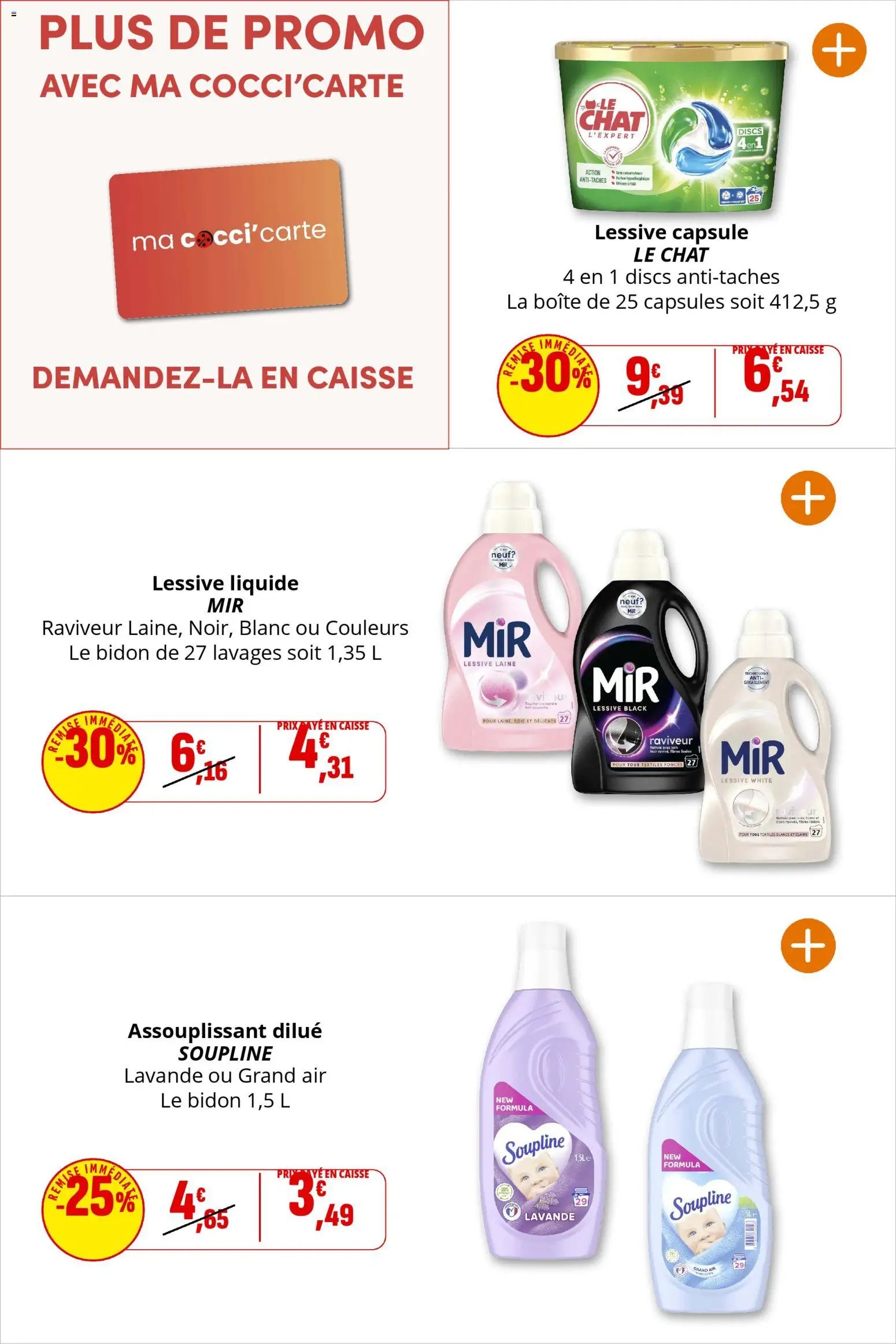 Coccinelle catalogue