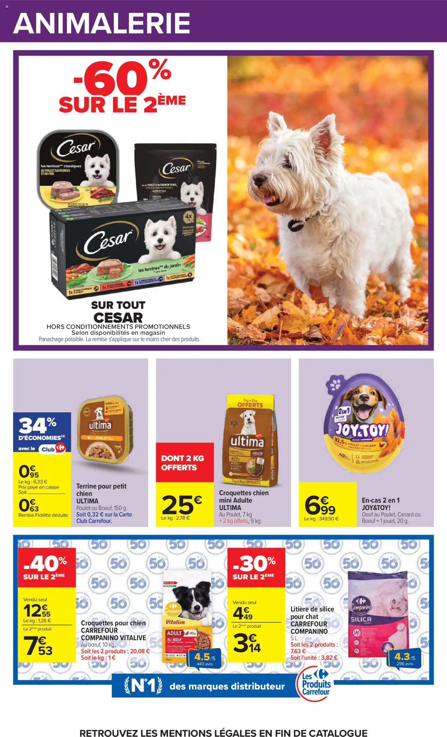 Carrefour catalogue