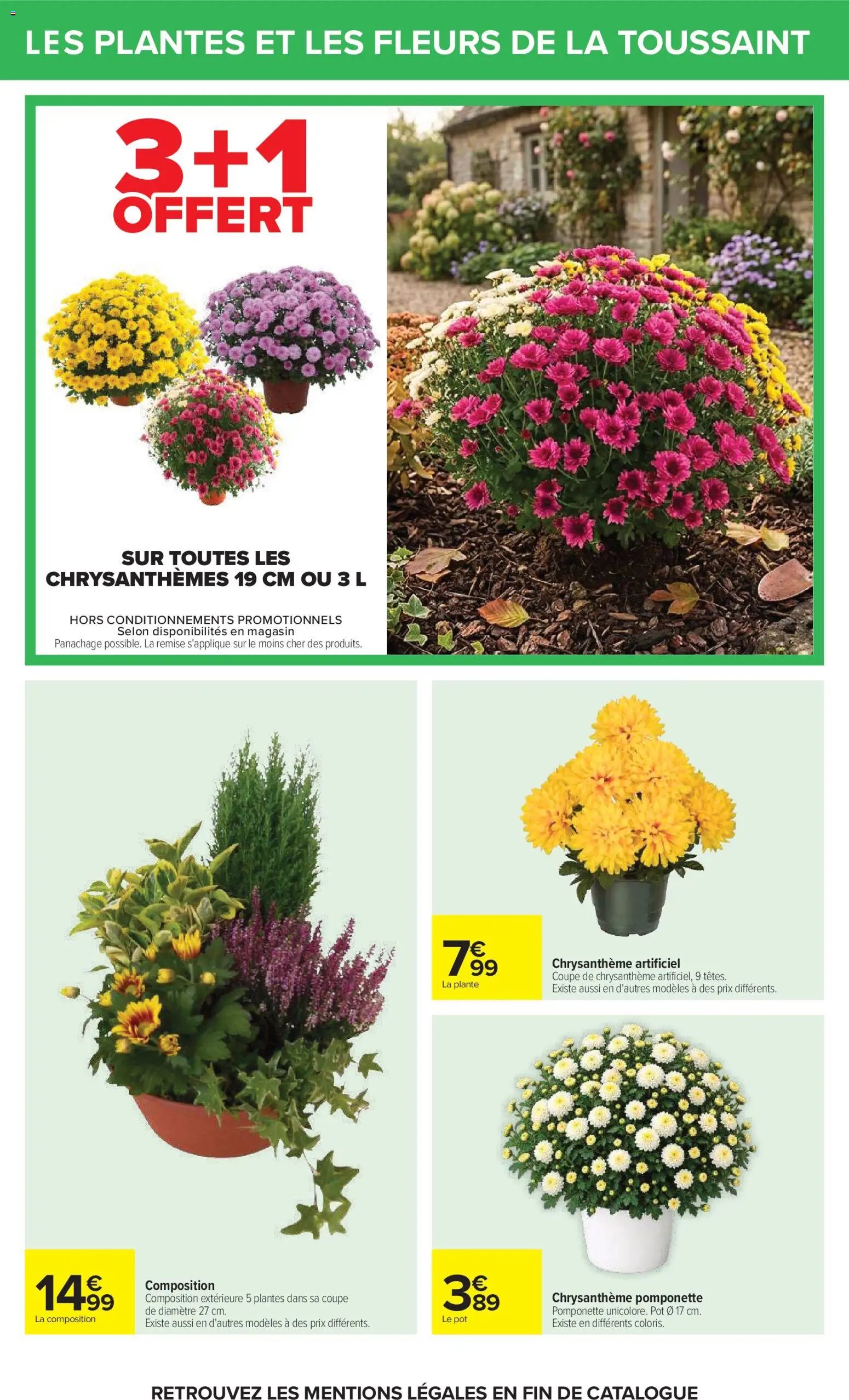 Carrefour catalogue