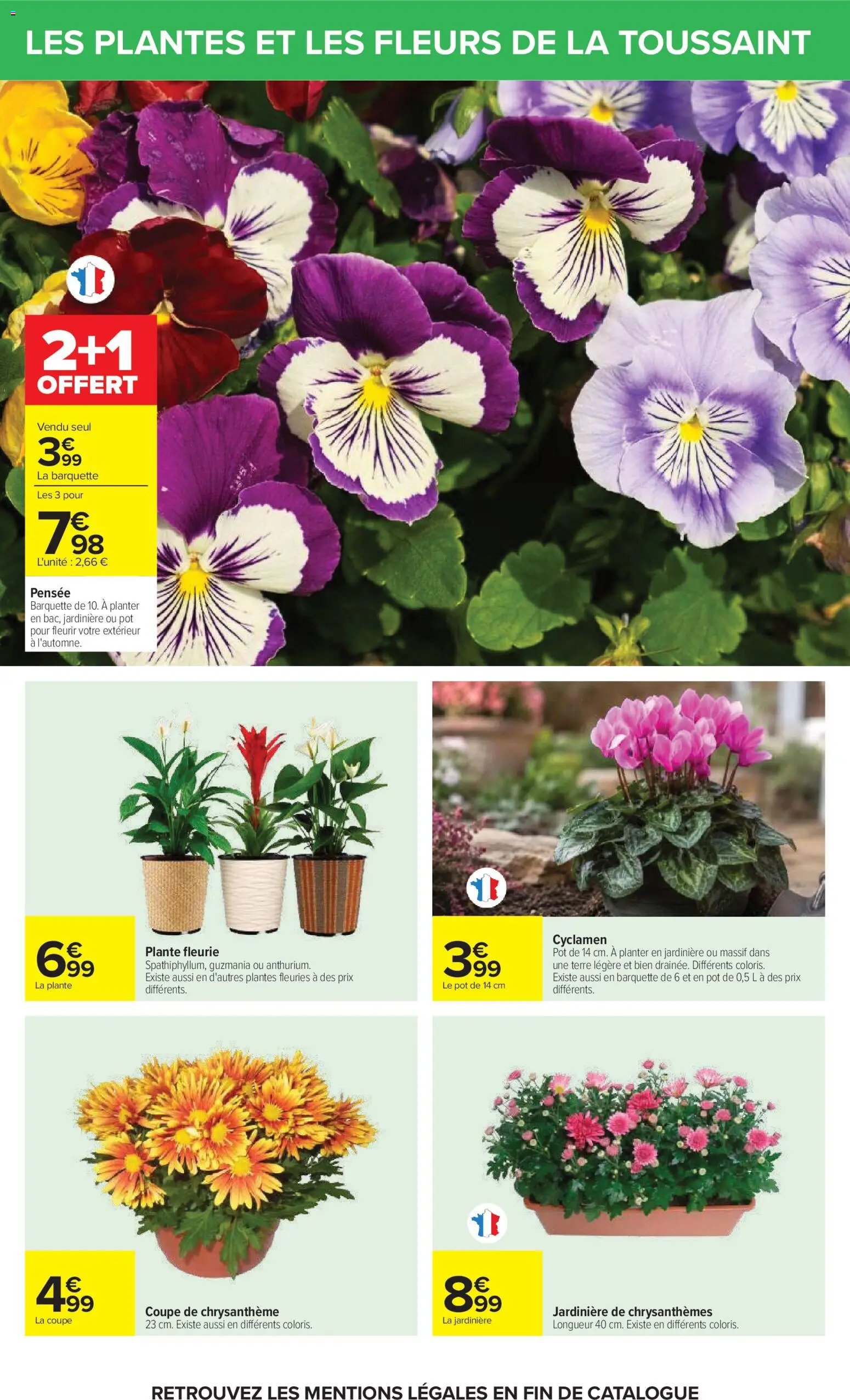 Carrefour catalogue