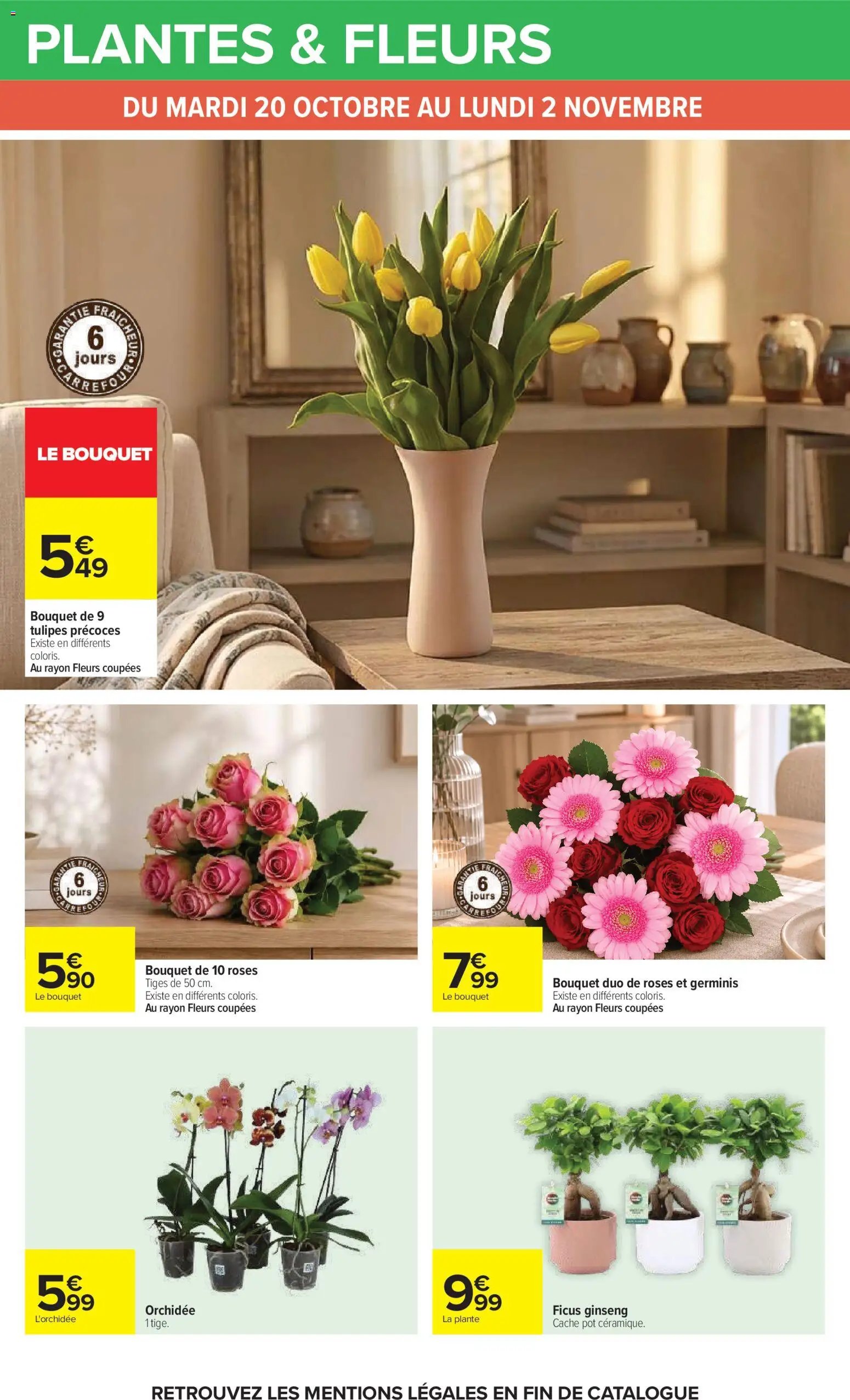Carrefour catalogue
