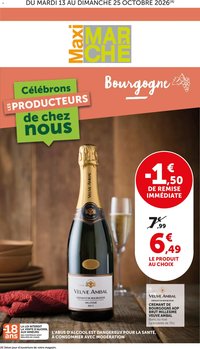 bi1 Catalogue Maxi