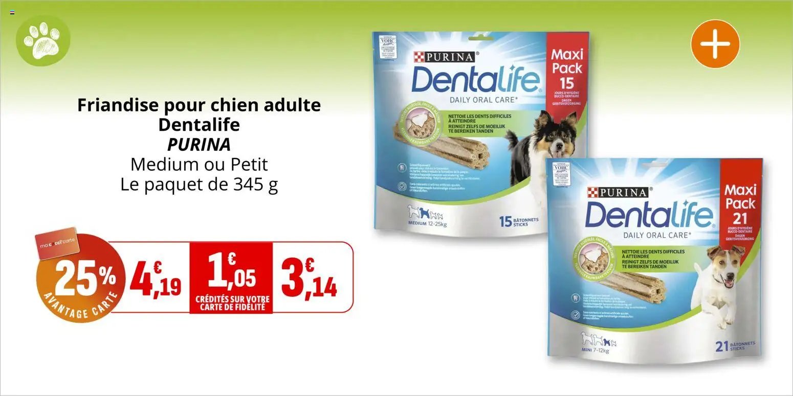 Coccinelle catalogue