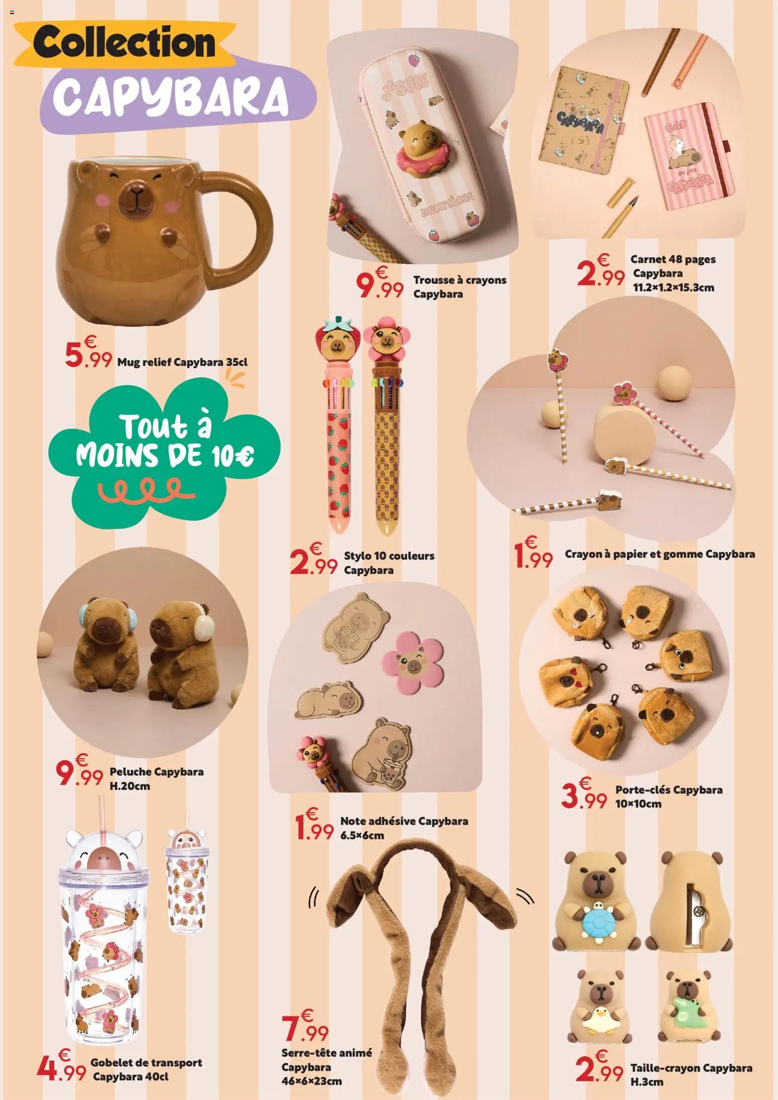 Maxi Bazar - Brochure