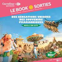 Carrefour contact Le book des sorties