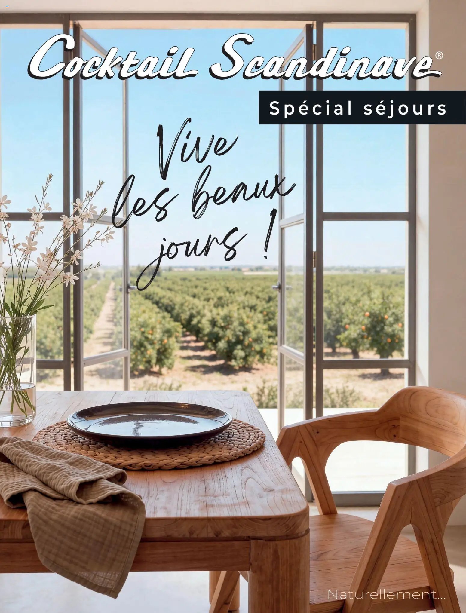 Cocktail Scandinave catalogue