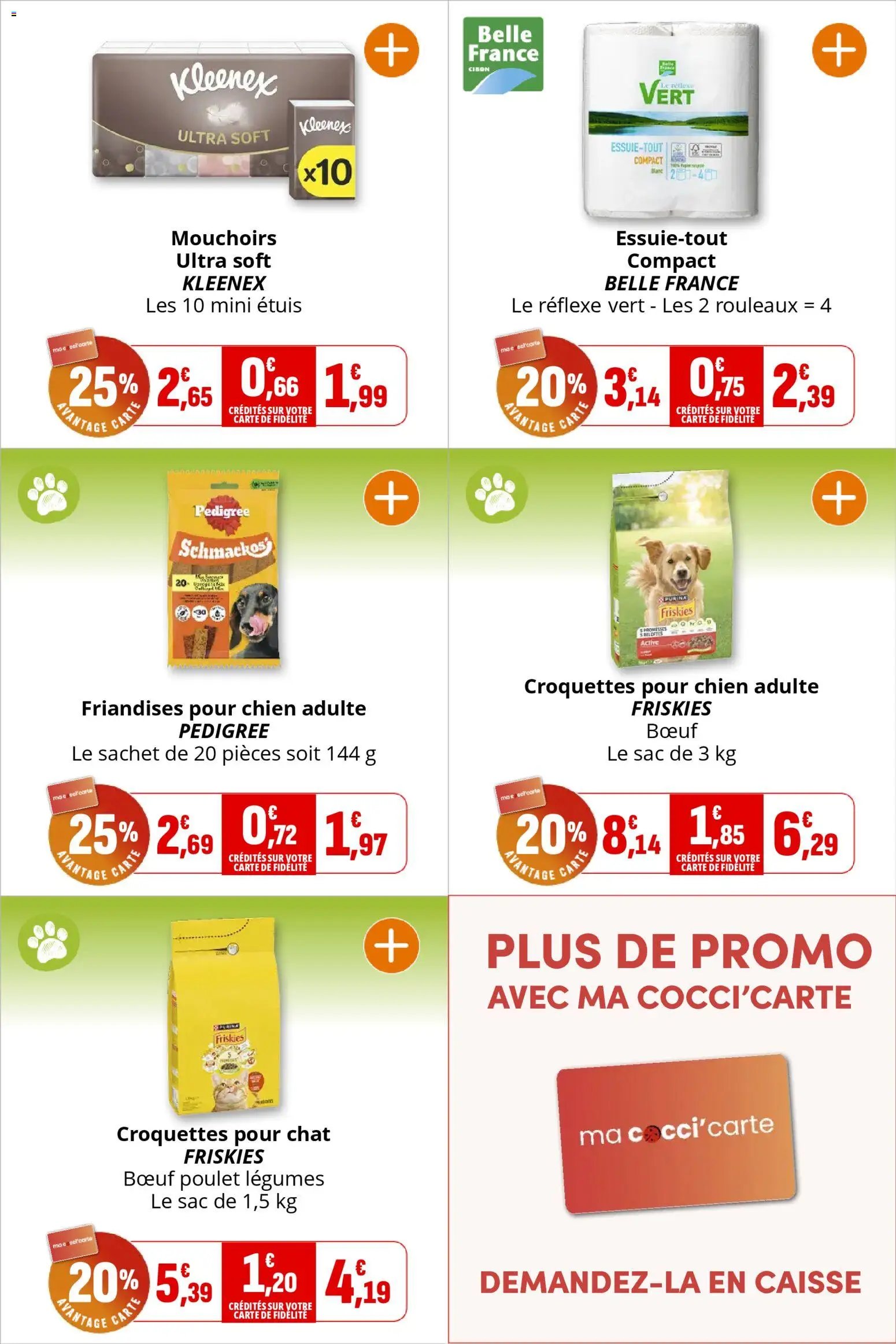 Coccinelle - Market (2026-02-25 - 2026-03-08)