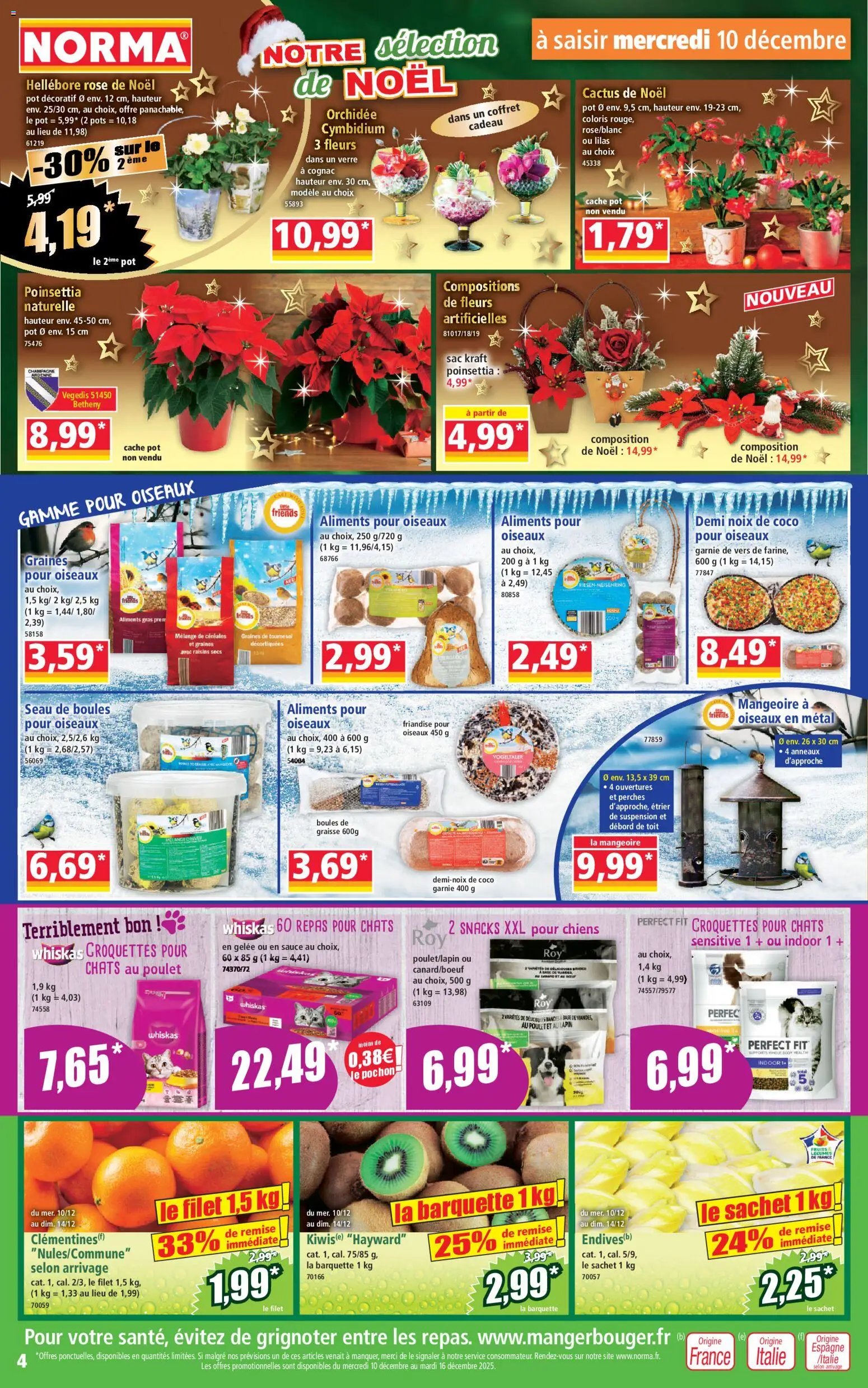 Norma catalogue (2025-12-10 - 2025-12-14)