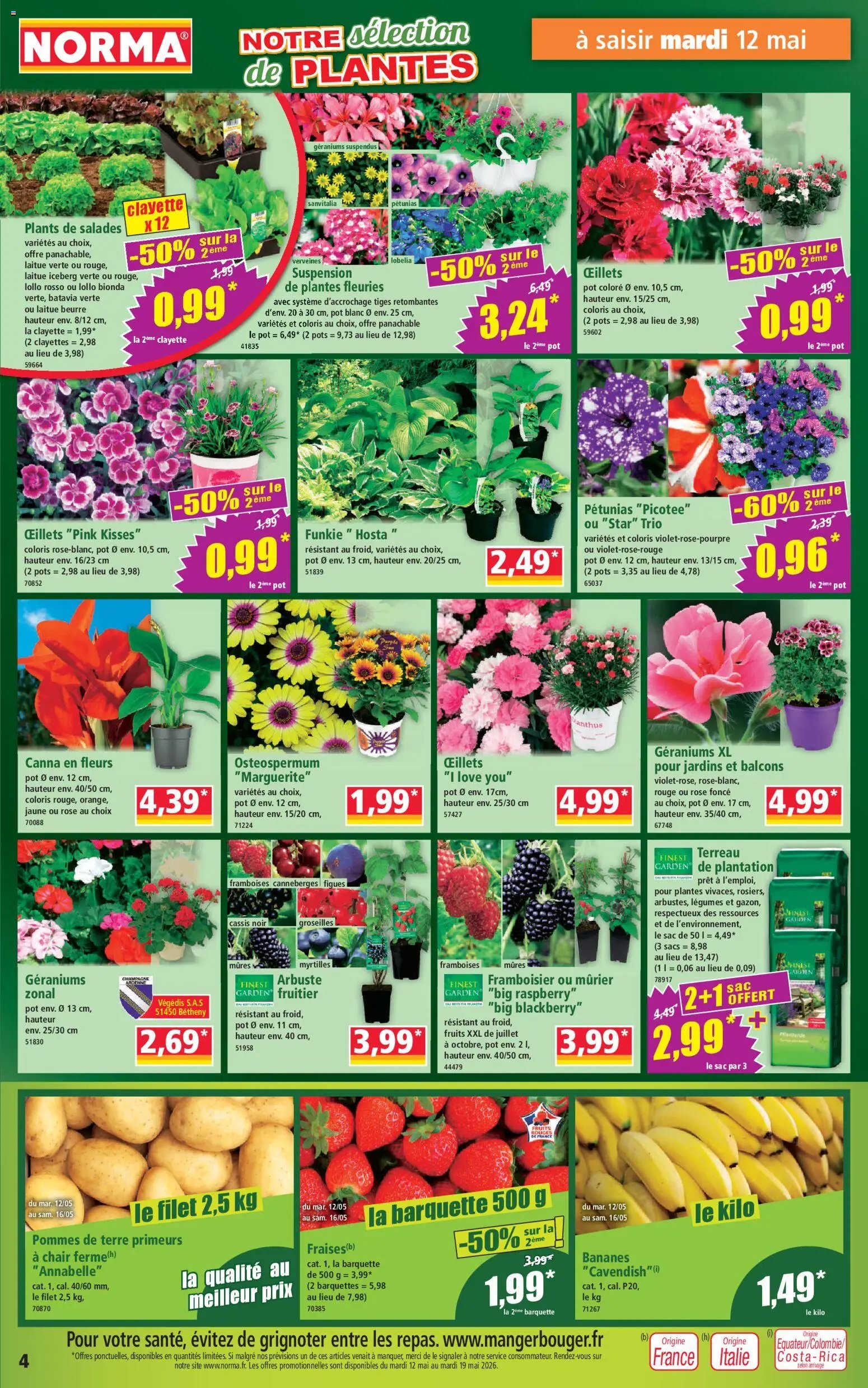 Norma catalogue (2026-05-12 - 2026-05-12)