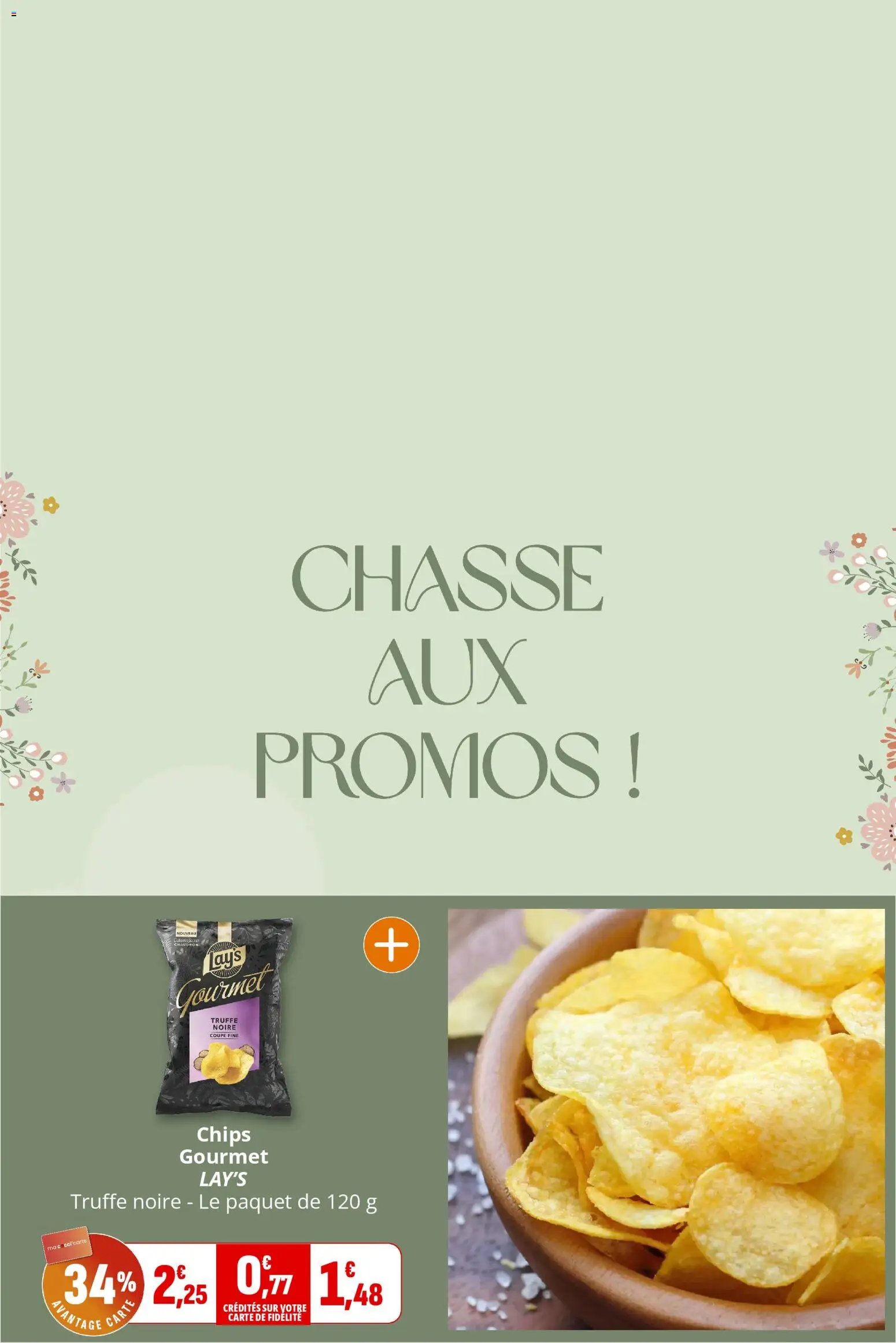 Coccinelle catalogue