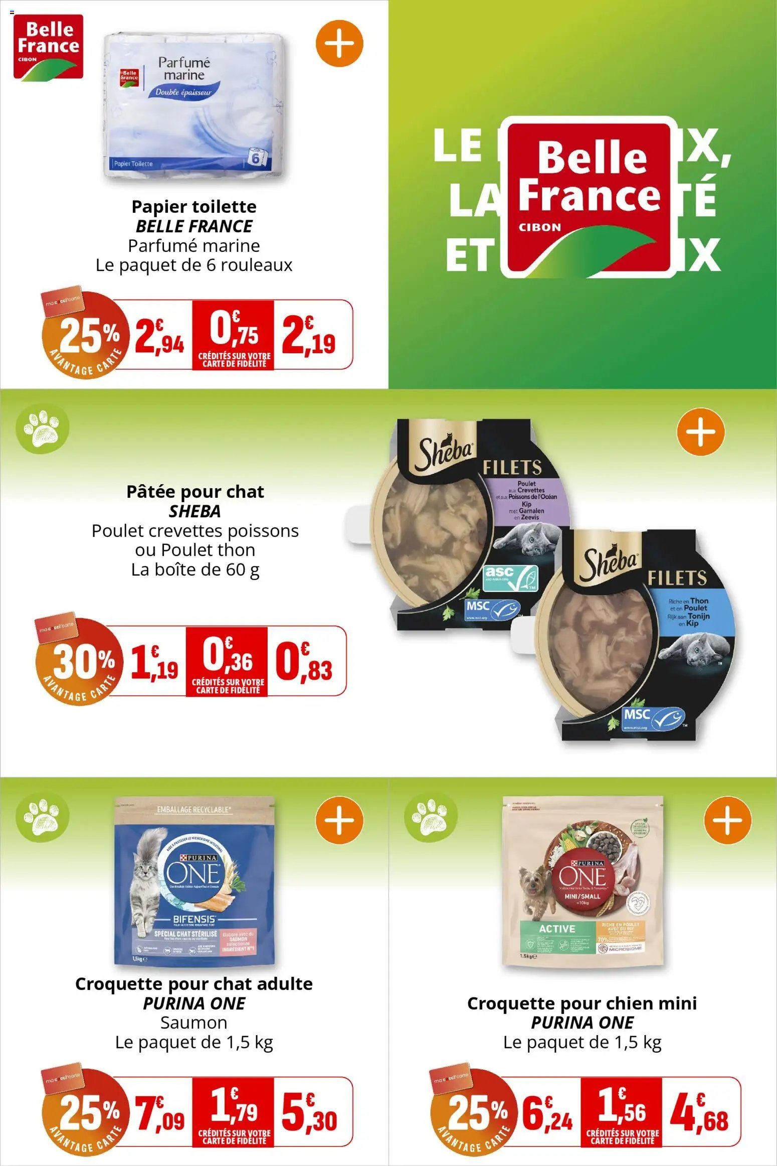 Coccinelle catalogue