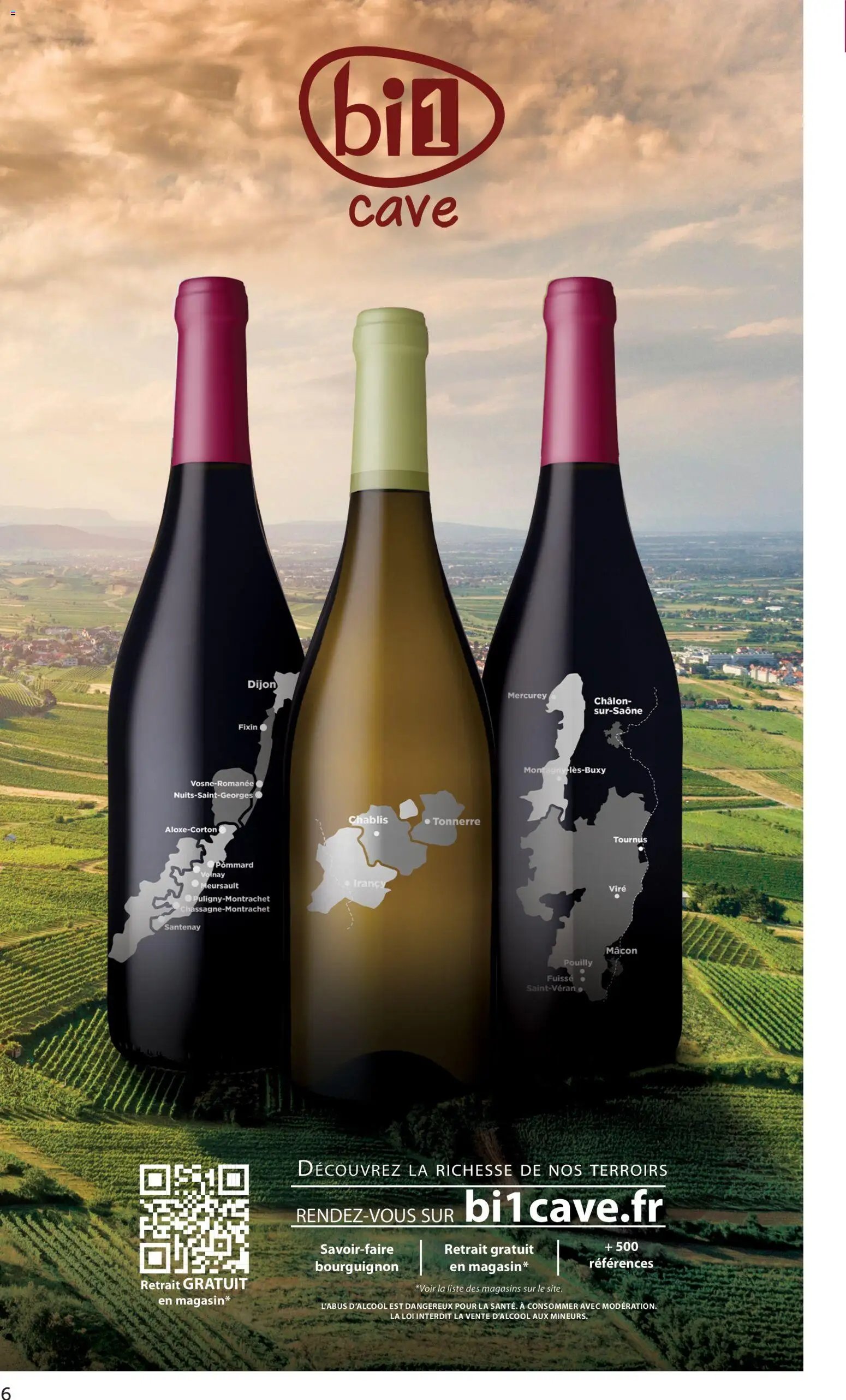 bi1 catalogue Maxi marché