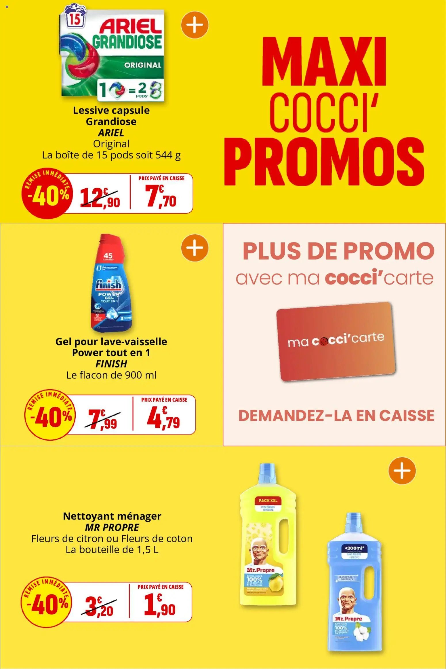 Coccinelle catalogue