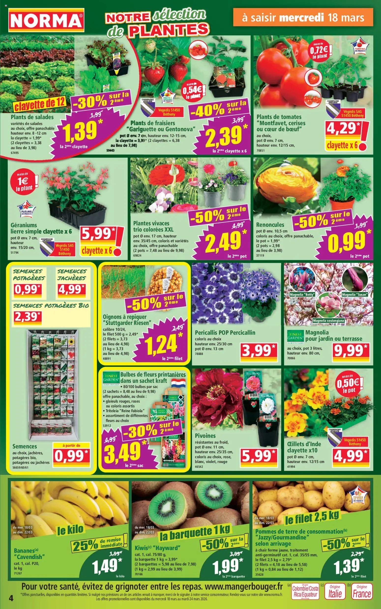 Norma catalogue (2026-03-18 - 2026-03-24)